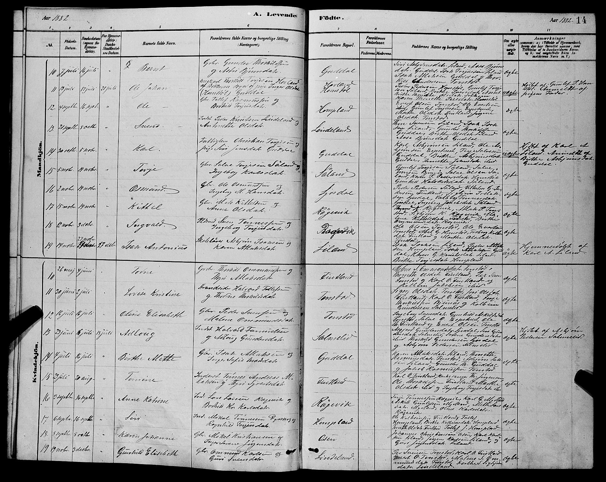 Sirdal sokneprestkontor, AV/SAK-1111-0036/F/Fb/Fbb/L0003: Parish register (copy) no. B 3, 1878-1894, p. 14