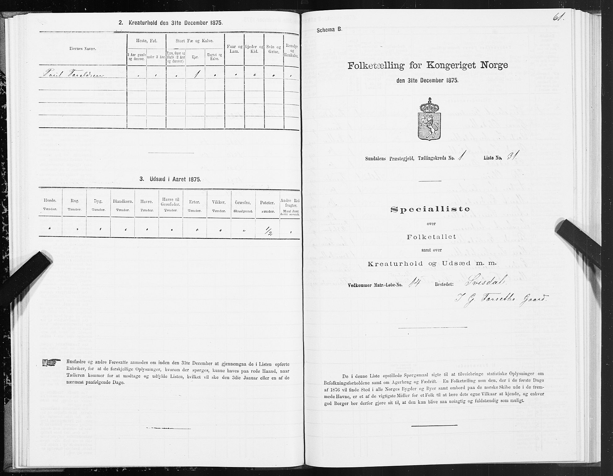 SAT, 1875 census for 1563P Sunndal, 1875, p. 1061