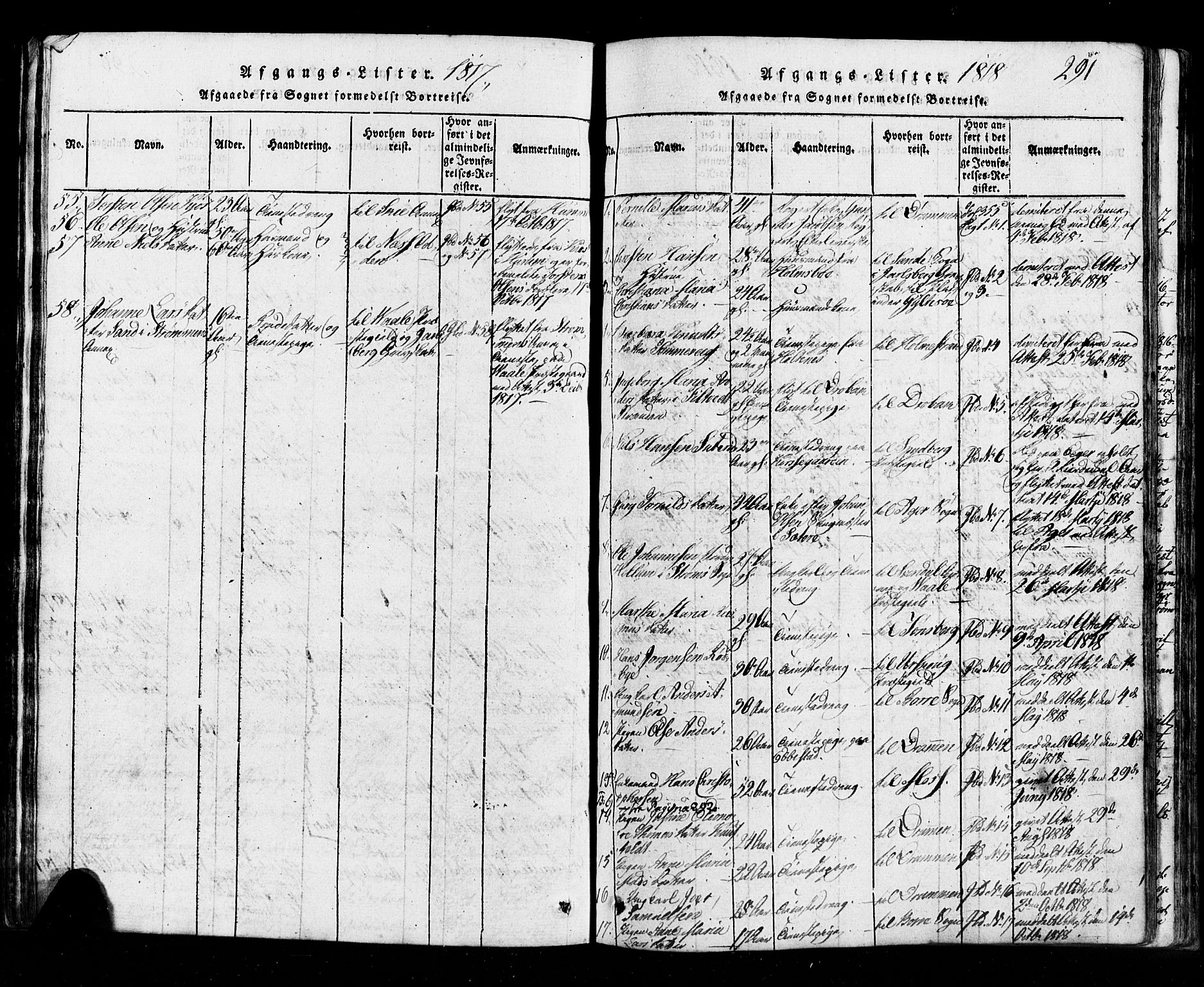 Hurum kirkebøker, AV/SAKO-A-229/G/Ga/L0001: Parish register (copy) no. I 1, 1816-1826, p. 291