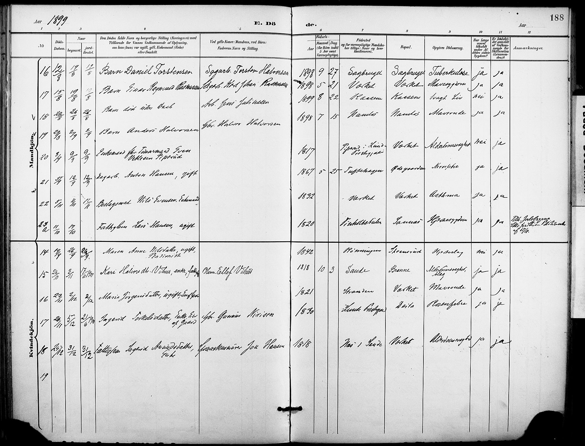 Holla kirkebøker, SAKO/A-272/F/Fa/L0010: Parish register (official) no. 10, 1897-1907, p. 188