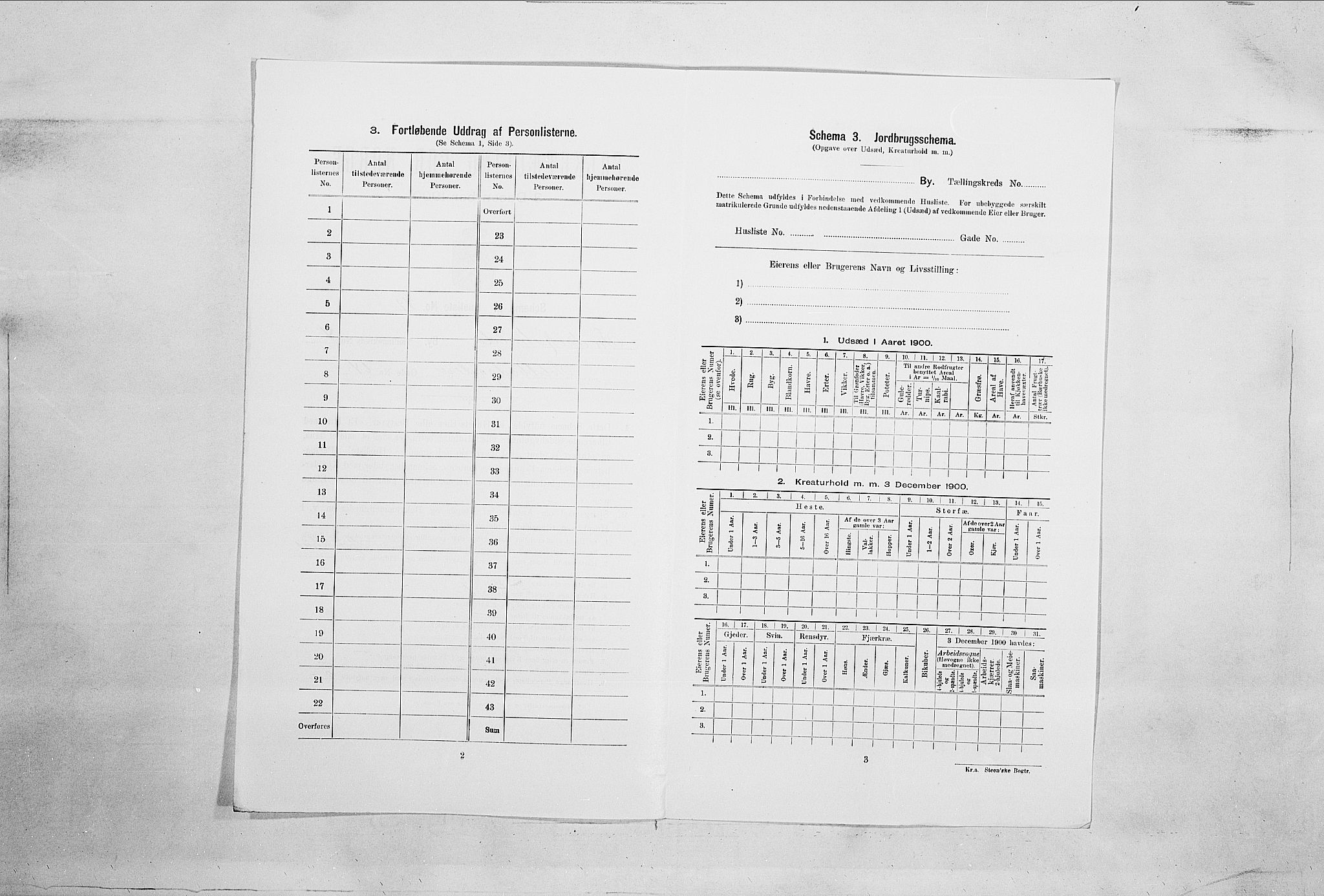 SAO, 1900 census for Fredrikshald, 1900