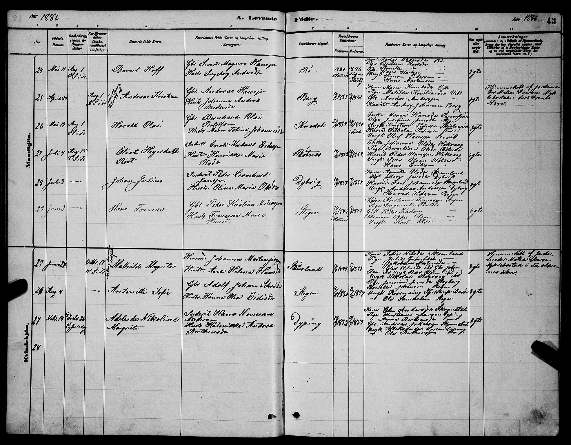 Ministerialprotokoller, klokkerbøker og fødselsregistre - Nordland, AV/SAT-A-1459/855/L0816: Parish register (copy) no. 855C05, 1879-1894, p. 43