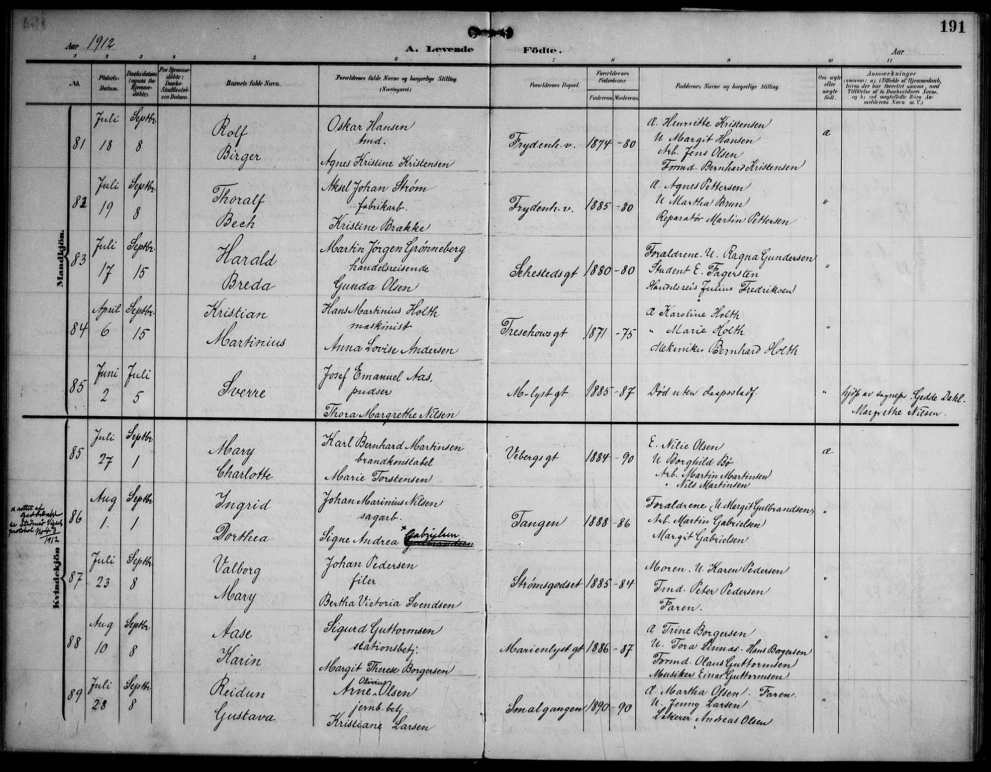 Strømsø kirkebøker, AV/SAKO-A-246/F/Fa/L0026: Parish register (official) no. I 26, 1905-1914, p. 191