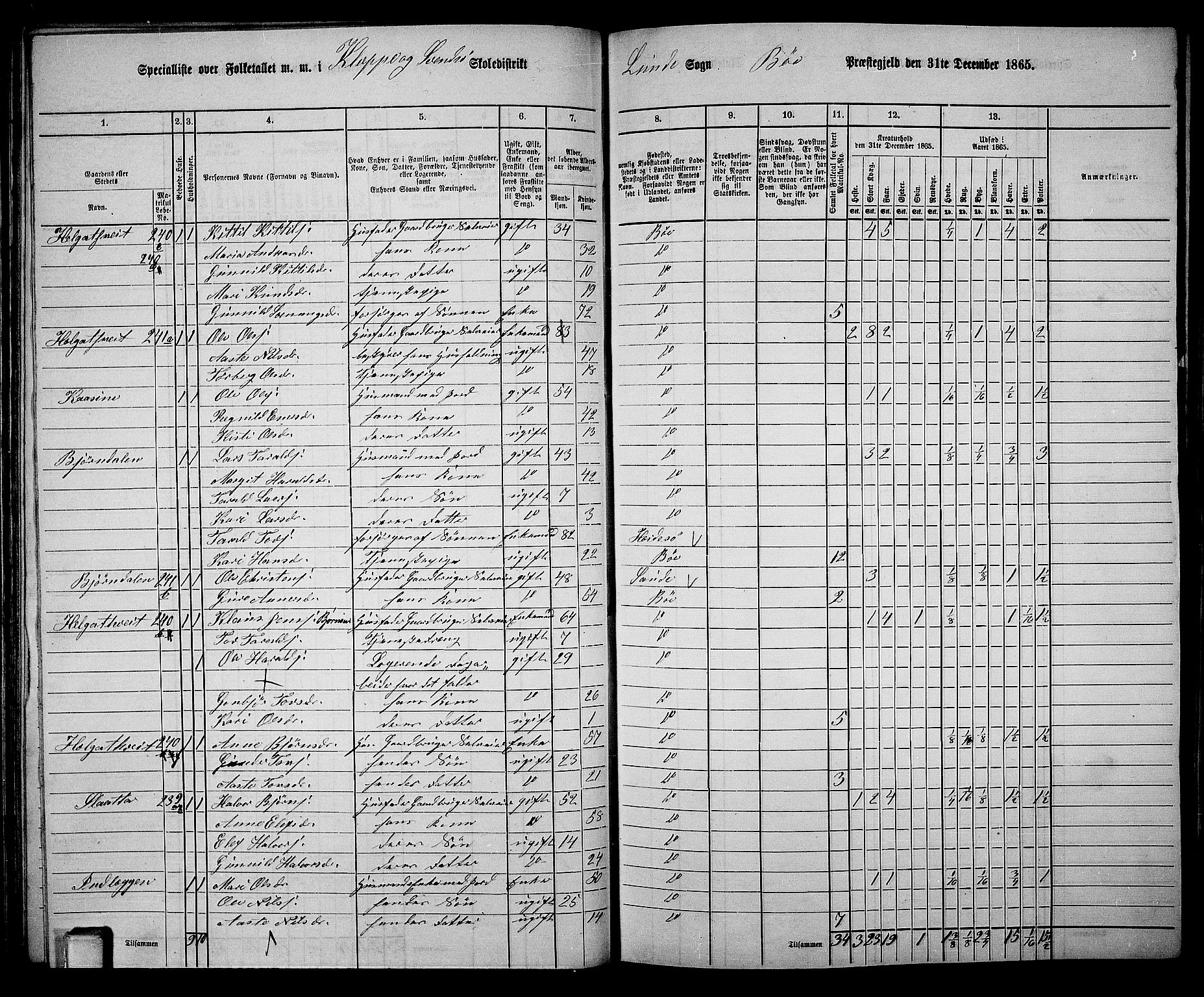 RA, 1865 census for Bø, 1865, p. 73