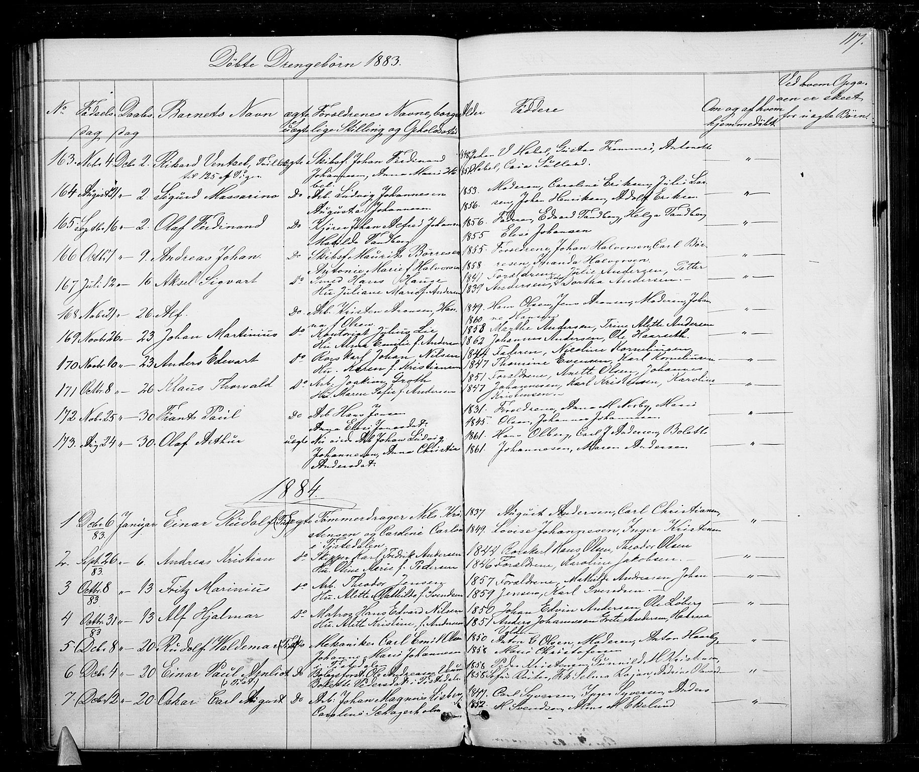 Halden prestekontor Kirkebøker, SAO/A-10909/G/Ga/L0006: Parish register (copy) no. 6, 1869-1884, p. 117