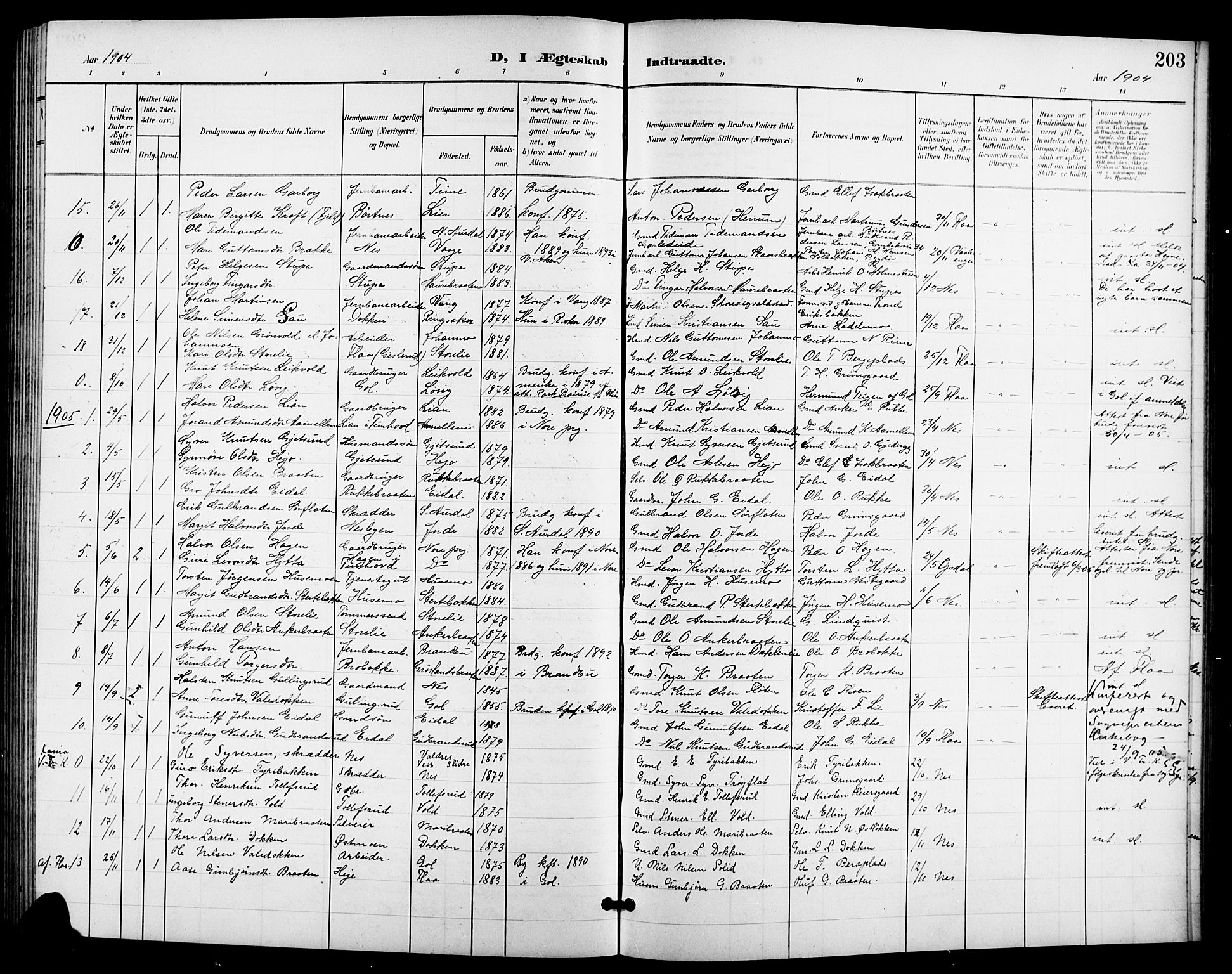 Nes kirkebøker, SAKO/A-236/G/Ga/L0004: Parish register (copy) no. I 4, 1900-1925, p. 203