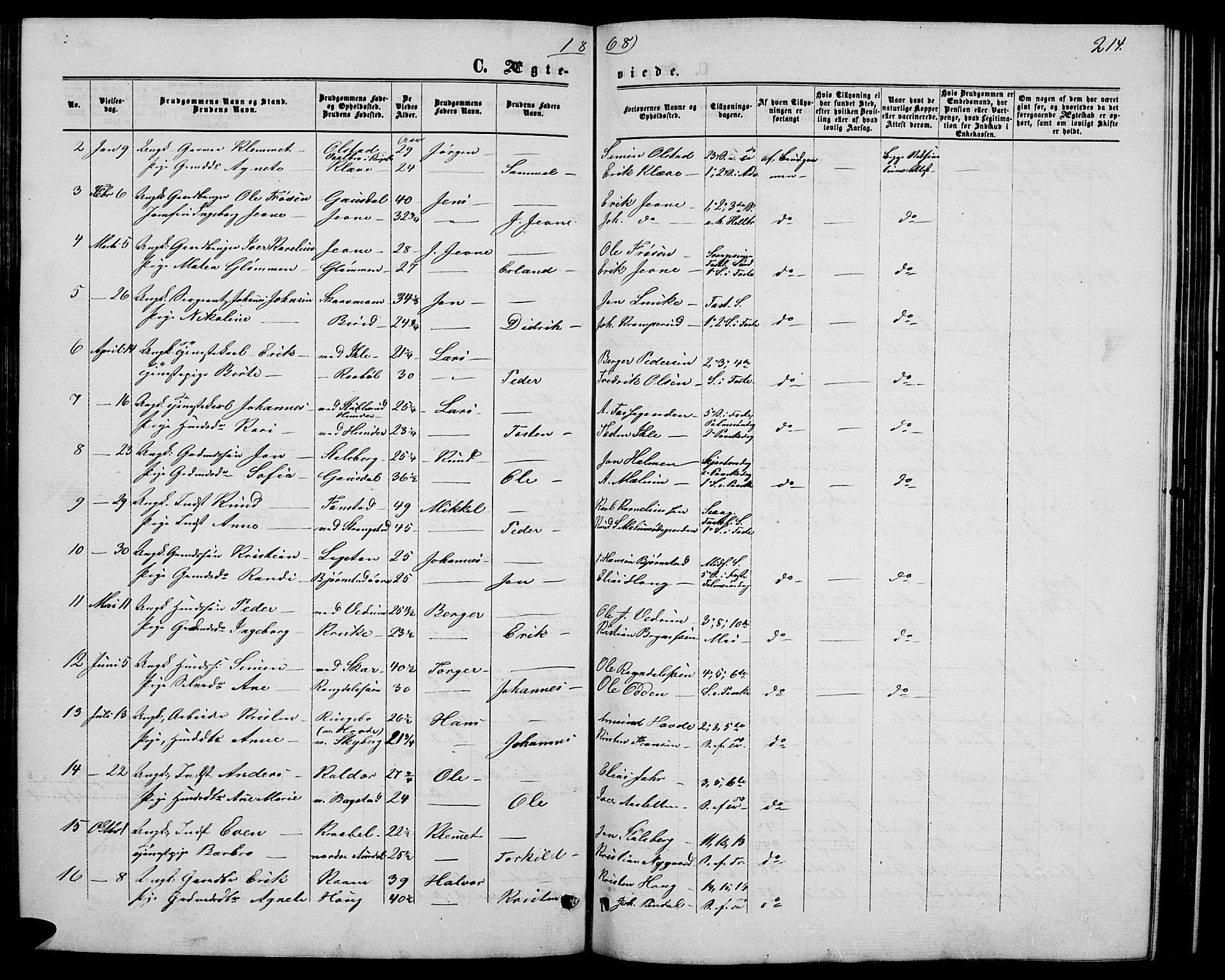 Øyer prestekontor, SAH/PREST-084/H/Ha/Hab/L0001: Parish register (copy) no. 1, 1863-1877, p. 214