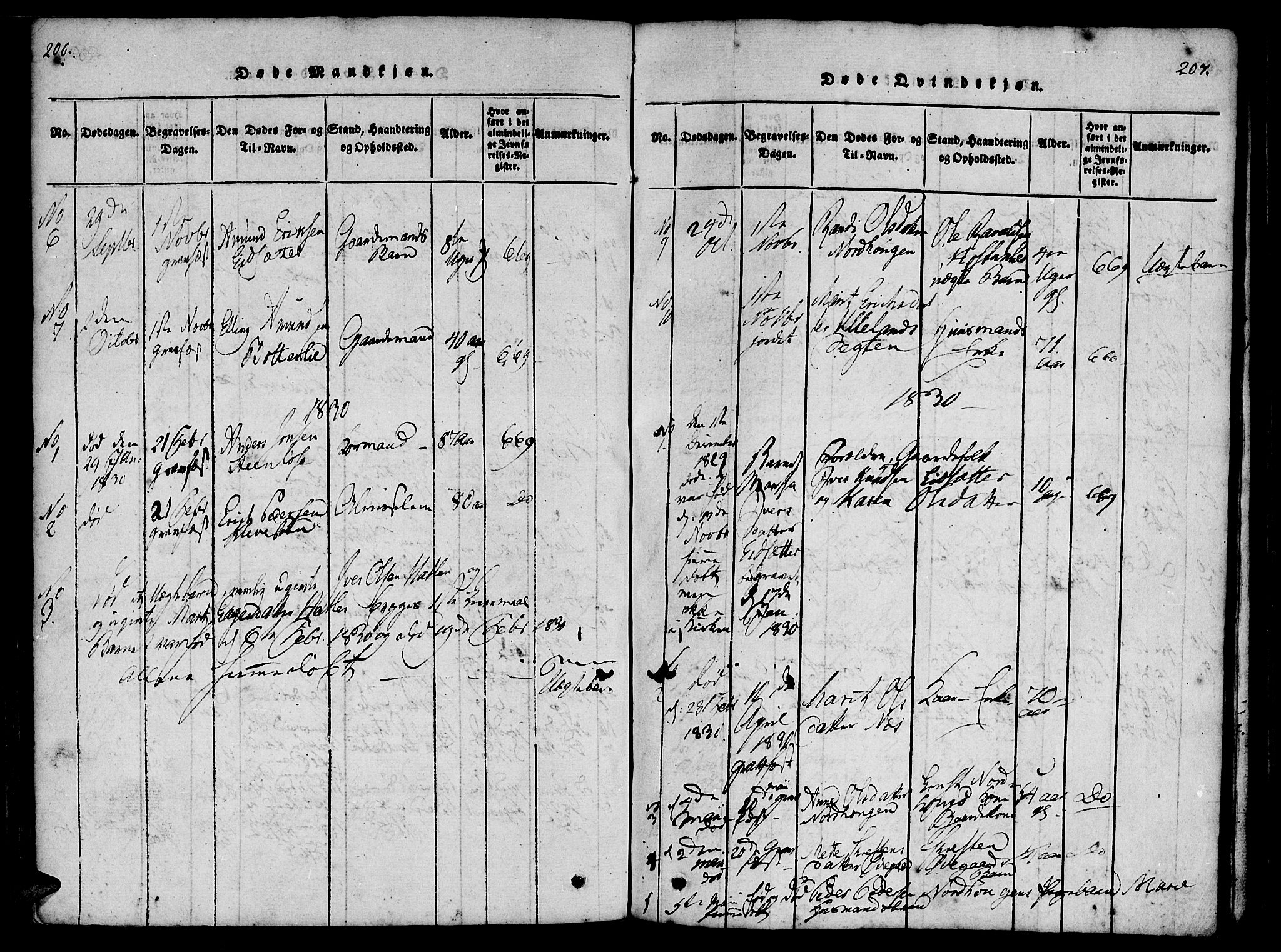 Ministerialprotokoller, klokkerbøker og fødselsregistre - Møre og Romsdal, AV/SAT-A-1454/557/L0679: Parish register (official) no. 557A01, 1818-1843, p. 206-207