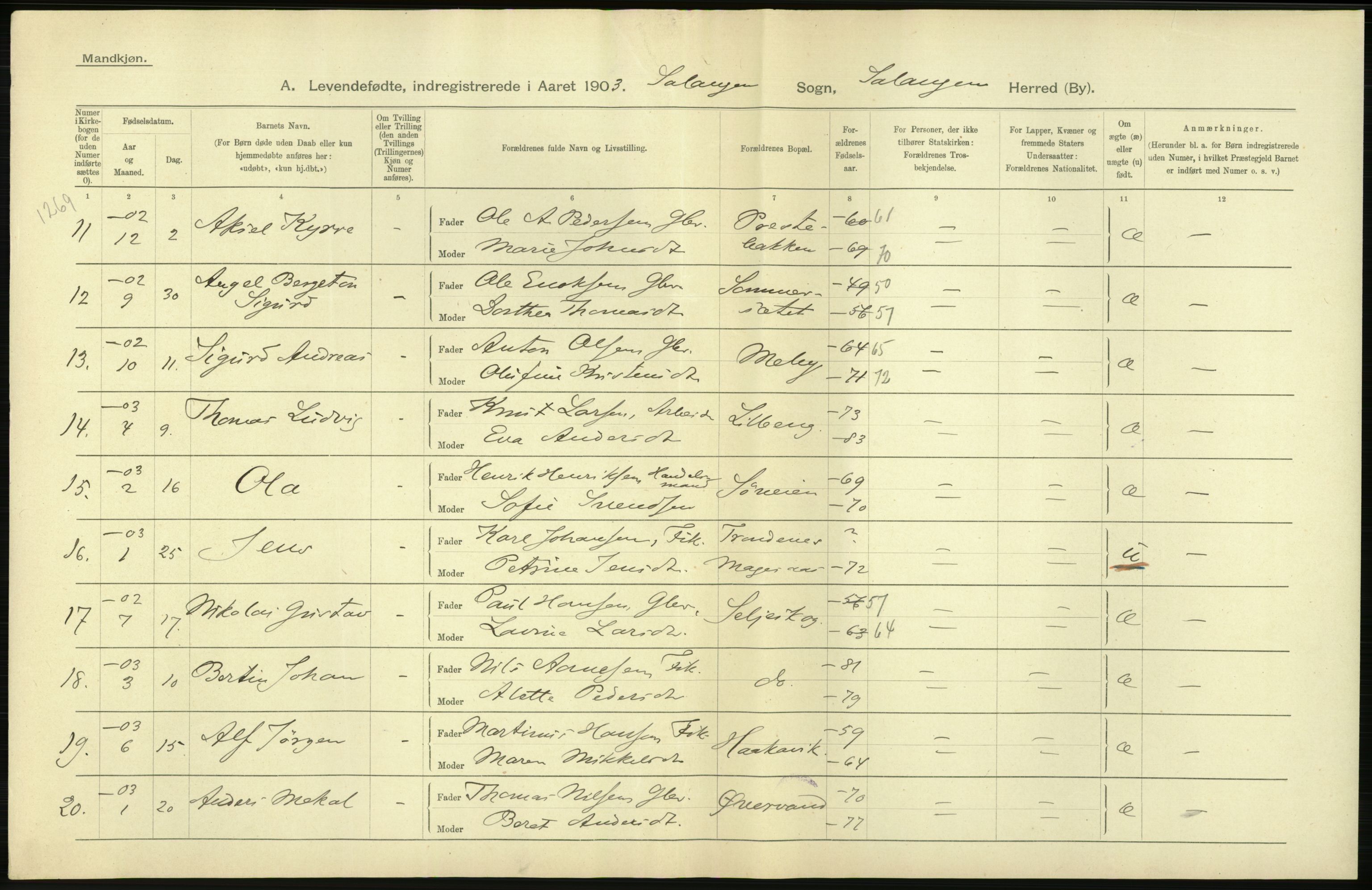 Statistisk sentralbyrå, Sosiodemografiske emner, Befolkning, AV/RA-S-2228/D/Df/Dfa/Dfaa/L0021: Tromsø amt: Fødte, gifte, døde., 1903, p. 28