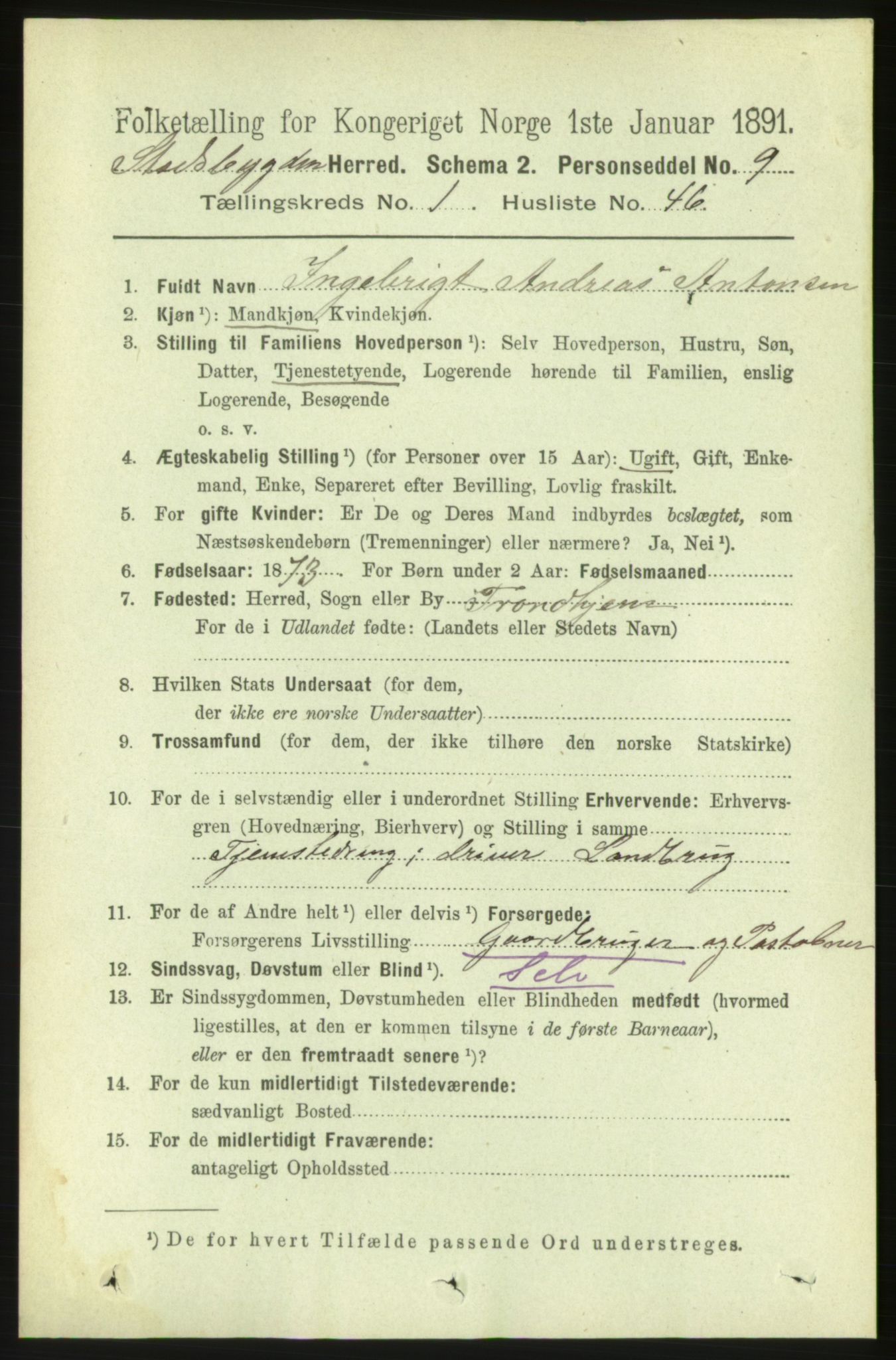 RA, 1891 census for 1625 Stadsbygd, 1891, p. 416