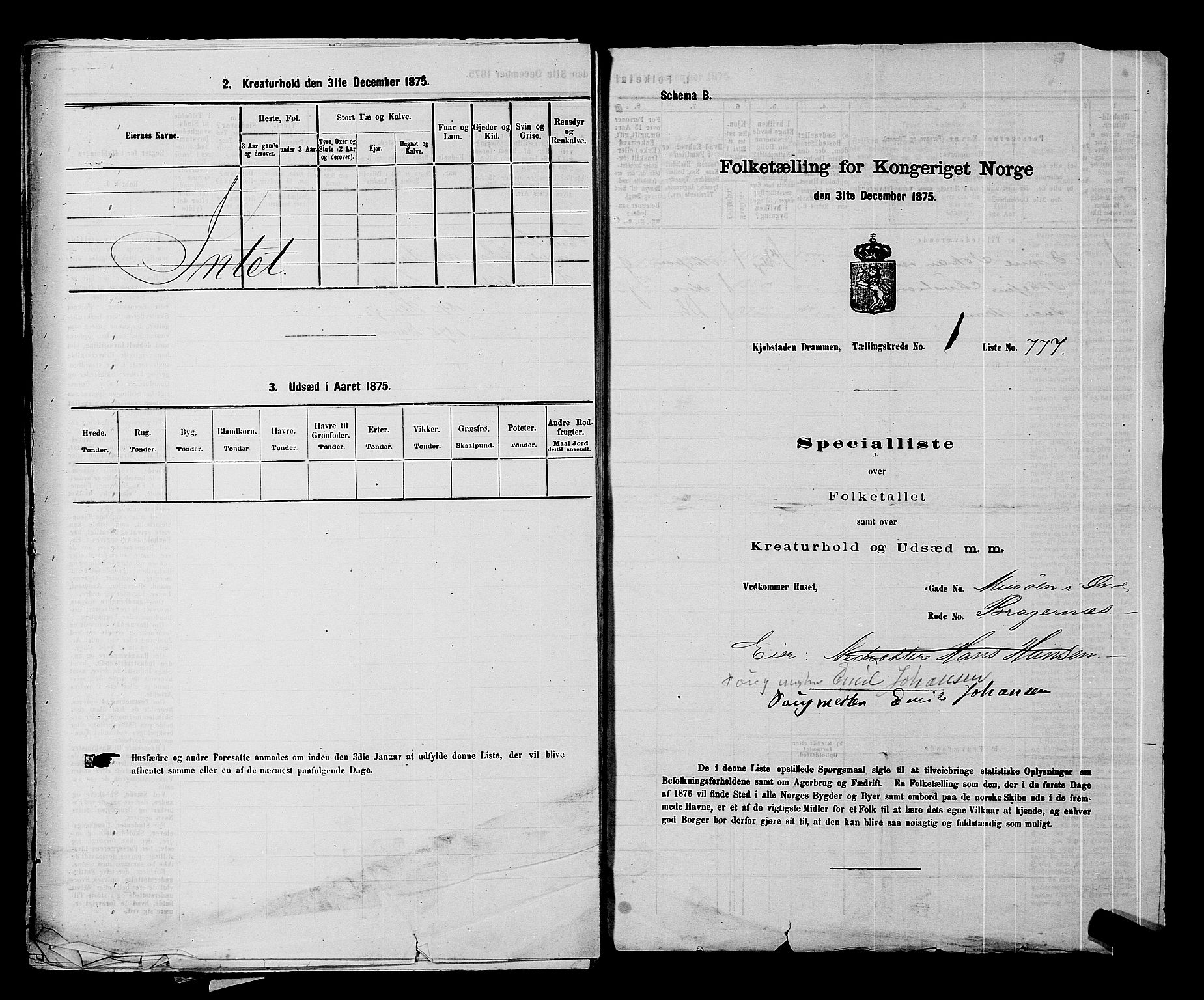 SAKO, 1875 census for 0602 Drammen, 1875, p. 174