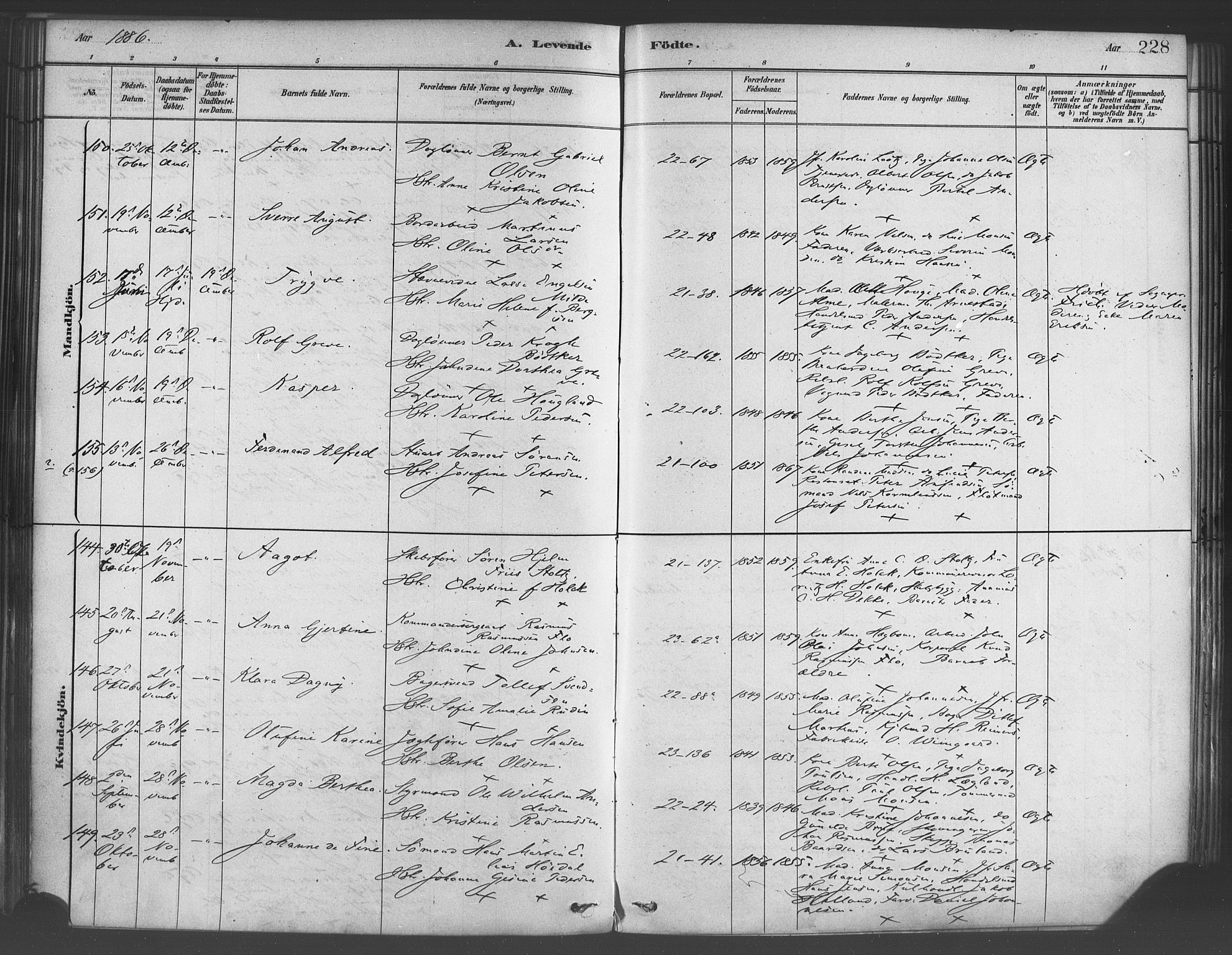Korskirken sokneprestembete, SAB/A-76101/H/Haa/L0021: Parish register (official) no. B 7, 1878-1889, p. 228