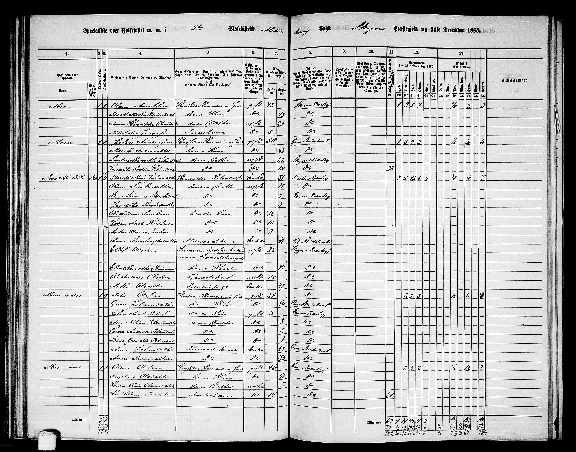 RA, 1865 census for Skogn, 1865, p. 120