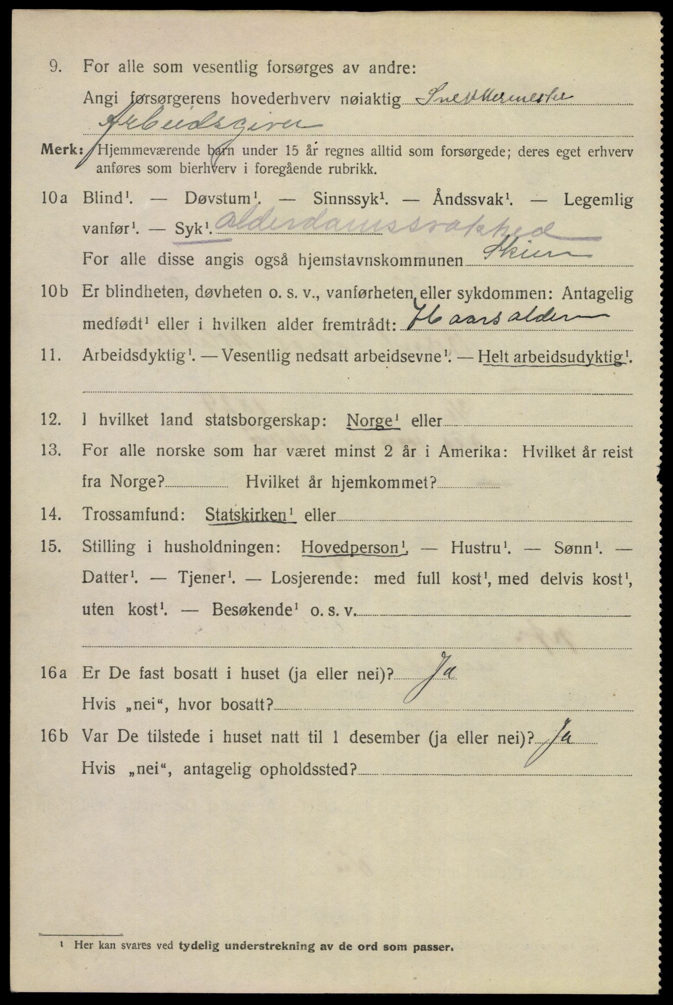 SAKO, 1920 census for Skien, 1920, p. 26611