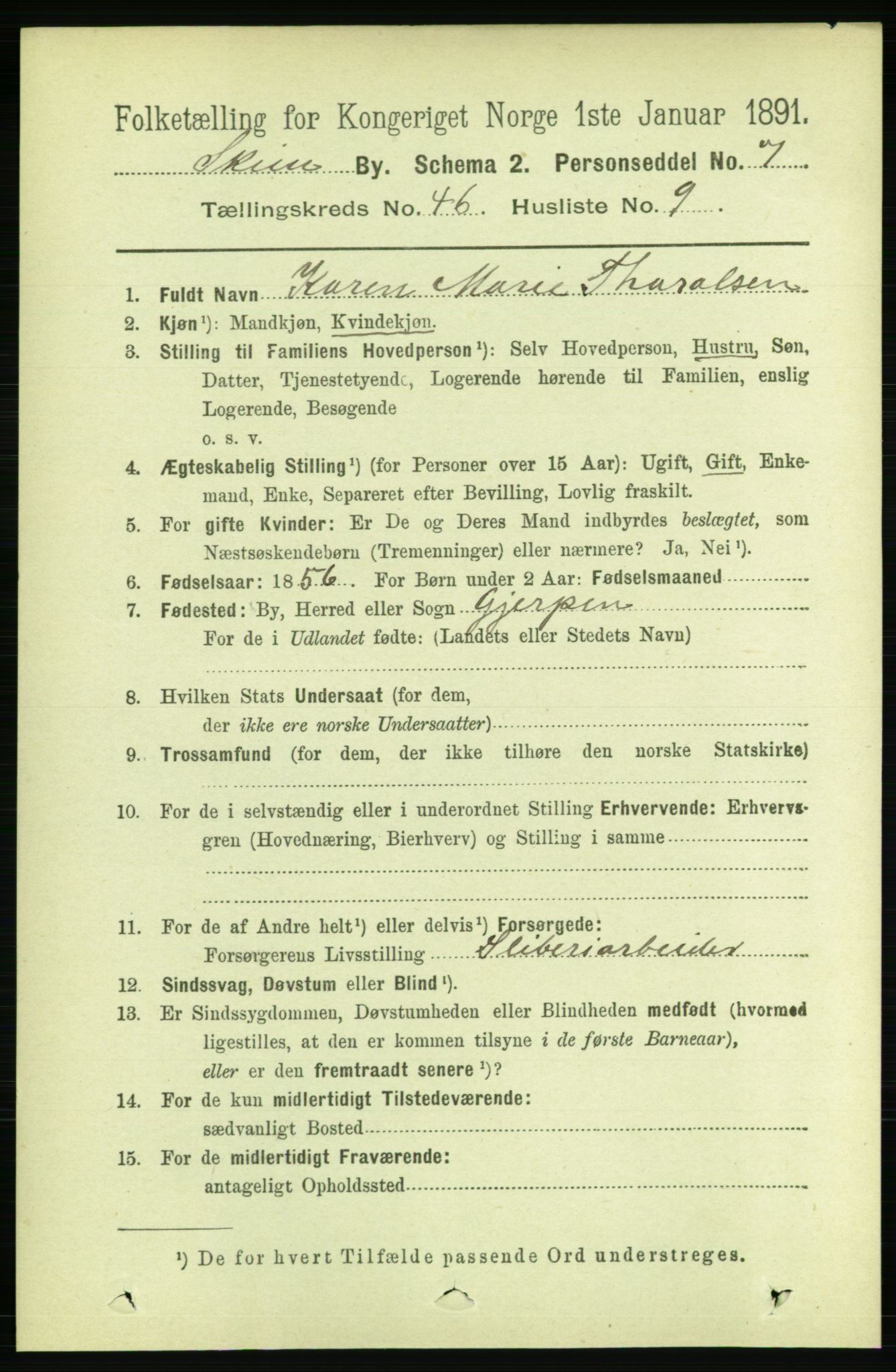 RA, 1891 census for 0806 Skien, 1891, p. 9202