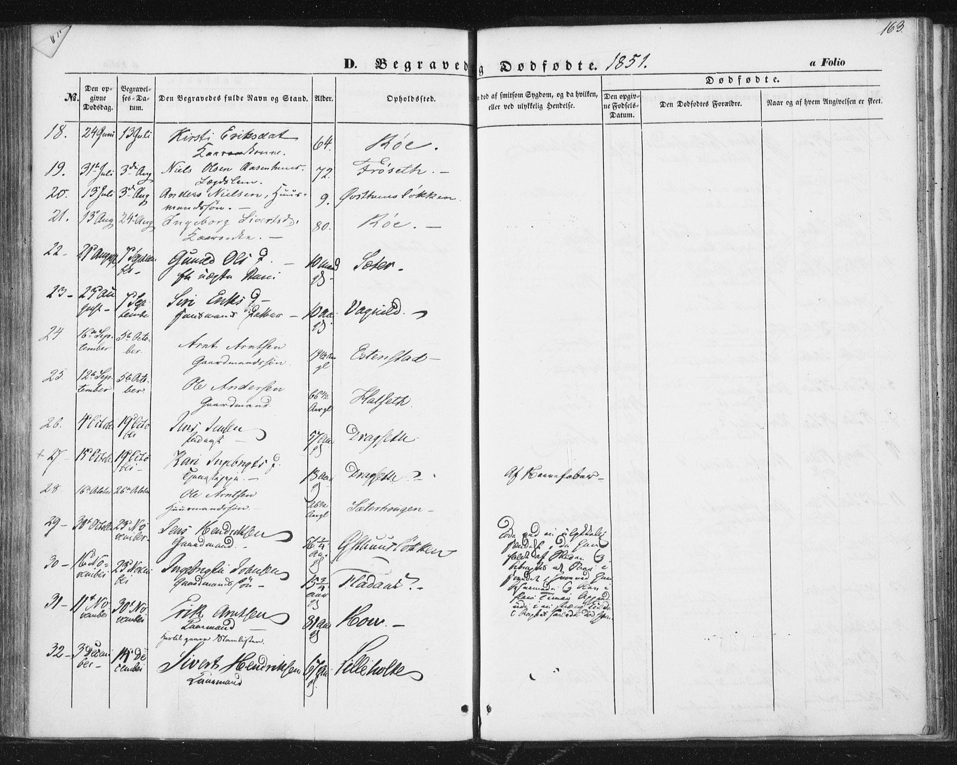 Ministerialprotokoller, klokkerbøker og fødselsregistre - Sør-Trøndelag, AV/SAT-A-1456/689/L1038: Parish register (official) no. 689A03, 1848-1872, p. 163