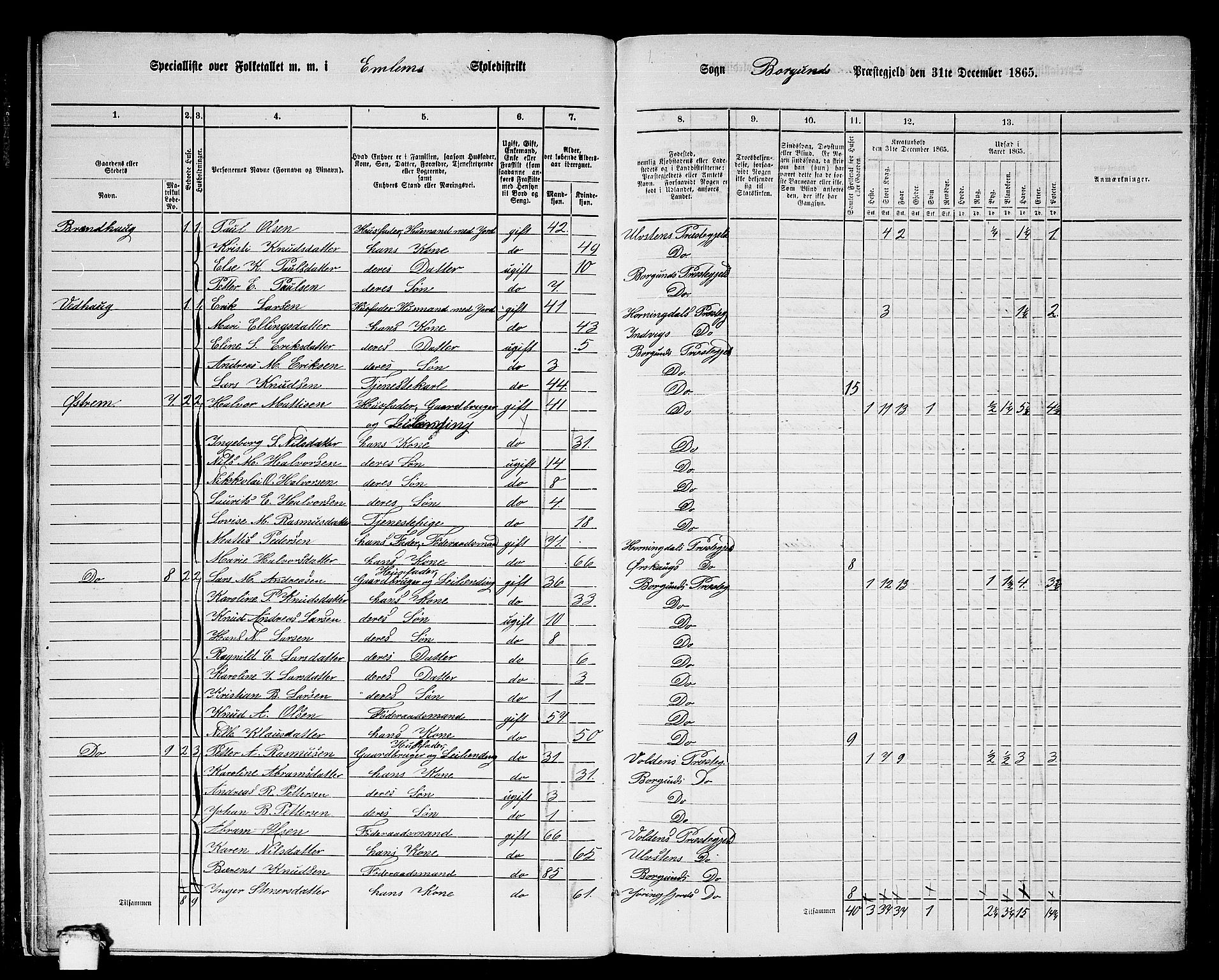 RA, 1865 census for Borgund, 1865, p. 17