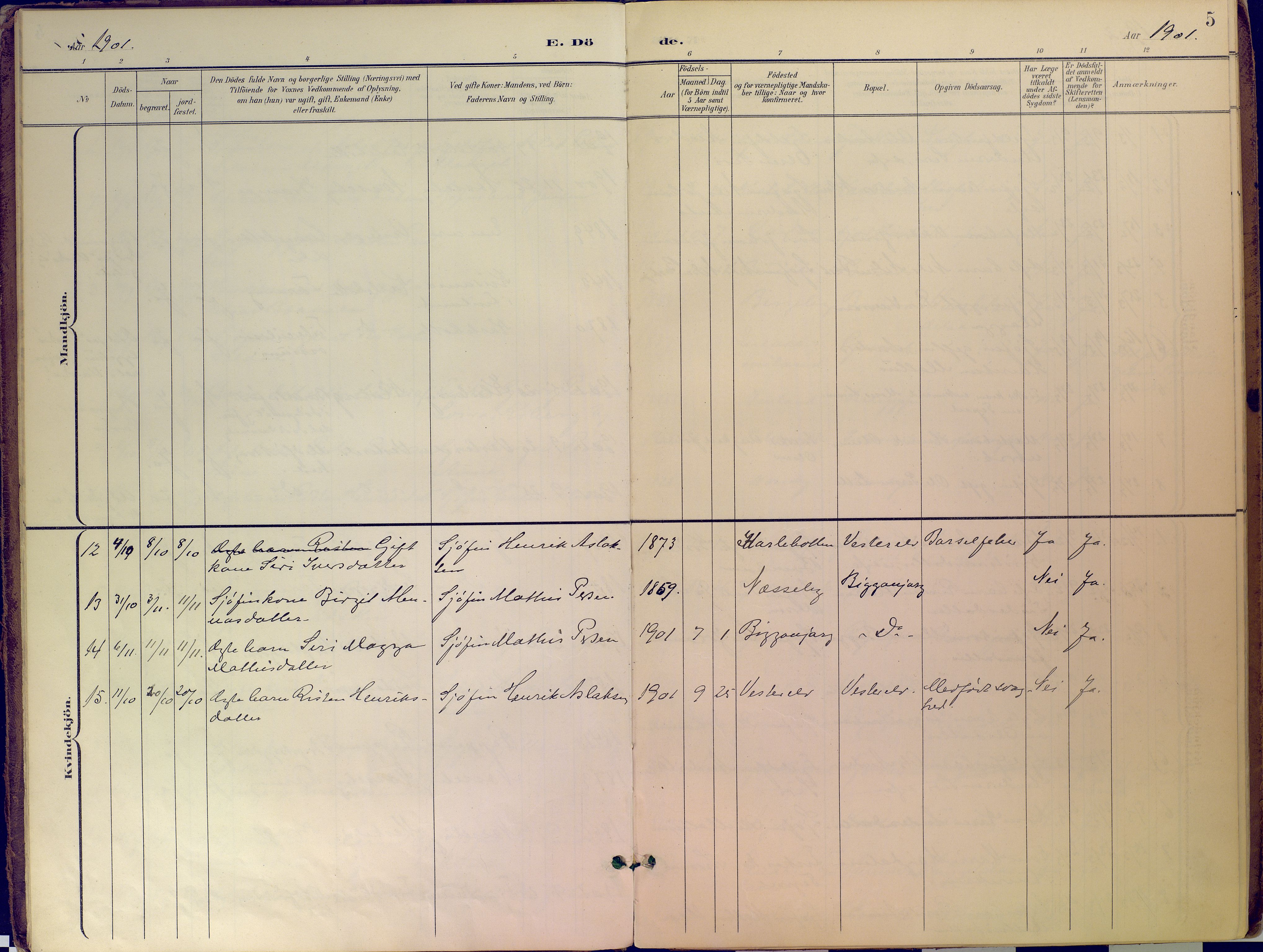 Nesseby sokneprestkontor, SATØ/S-1330/H/Ha/L0007kirke: Parish register (official) no. 7, 1898-1921, p. 5
