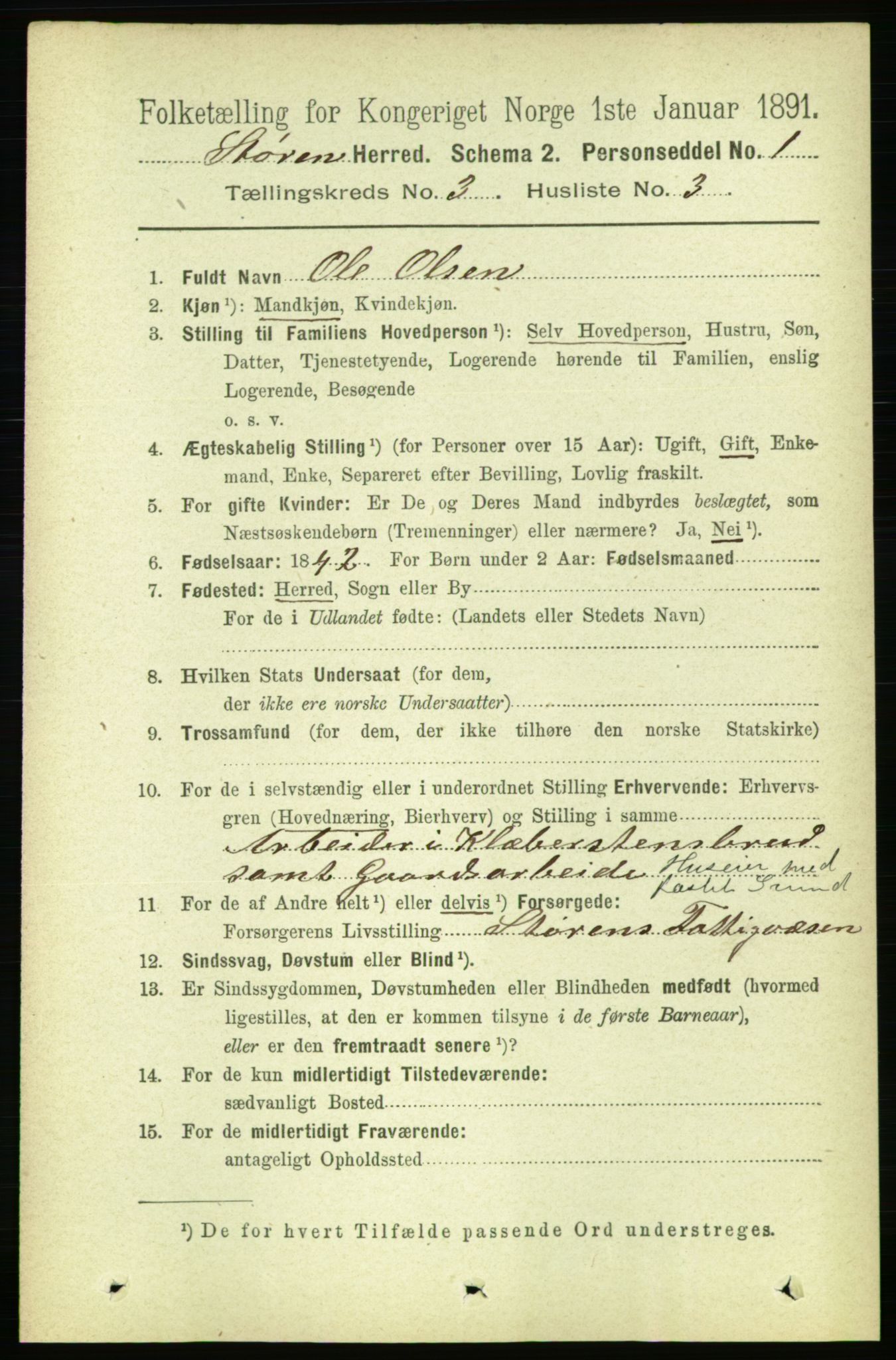 RA, 1891 census for 1648 Støren, 1891, p. 803
