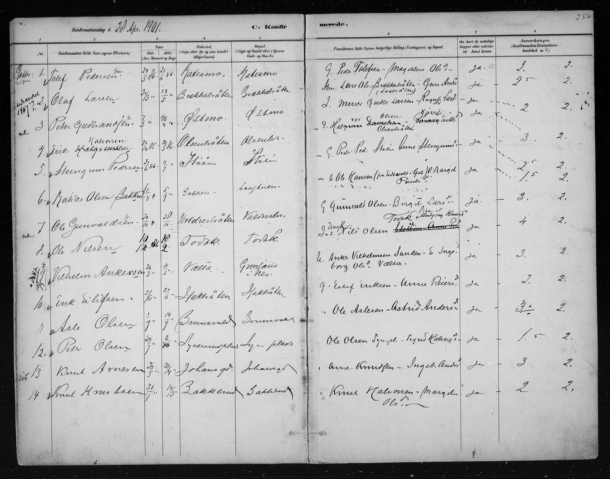 Nes kirkebøker, AV/SAKO-A-236/F/Fa/L0011: Parish register (official) no. 11, 1881-1912, p. 250