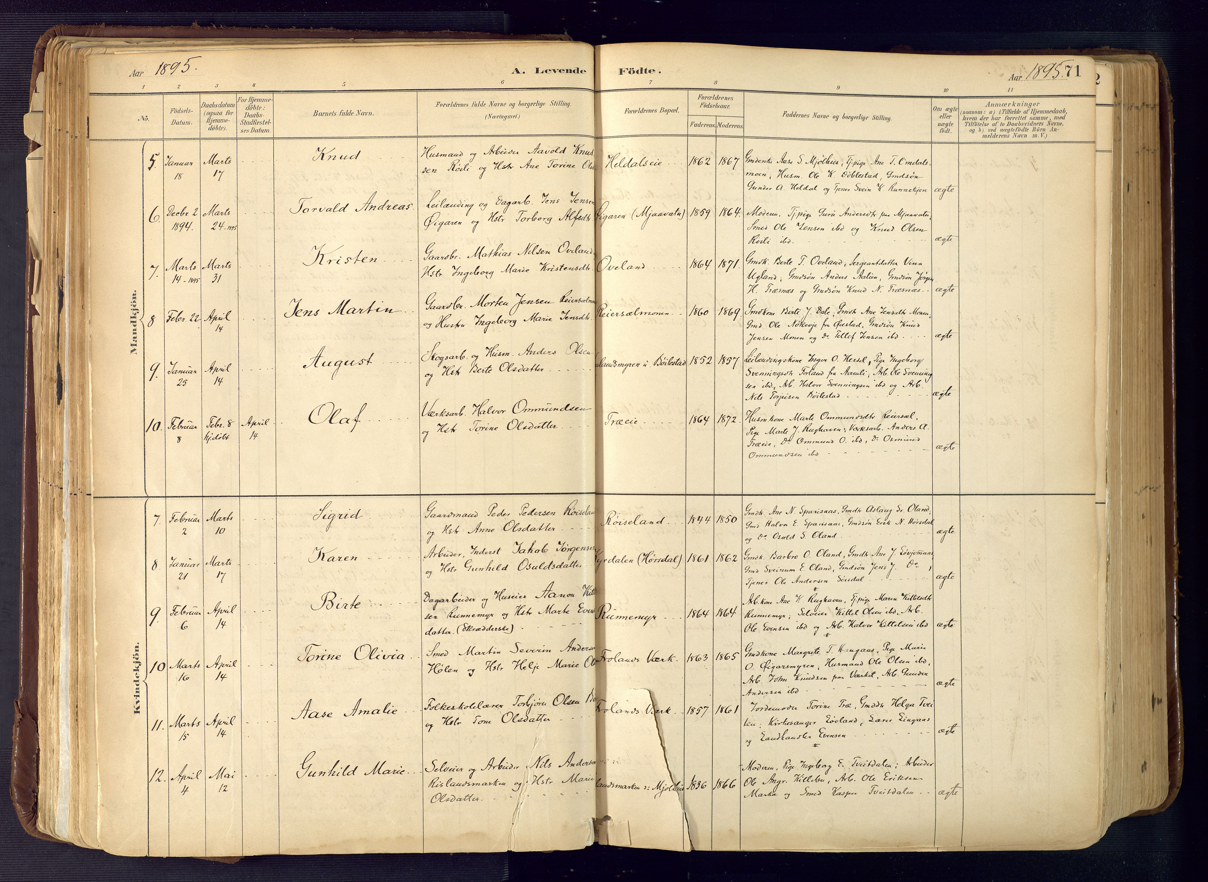 Froland sokneprestkontor, AV/SAK-1111-0013/F/Fa/L0005: Parish register (official) no. A 5, 1882-1921, p. 71