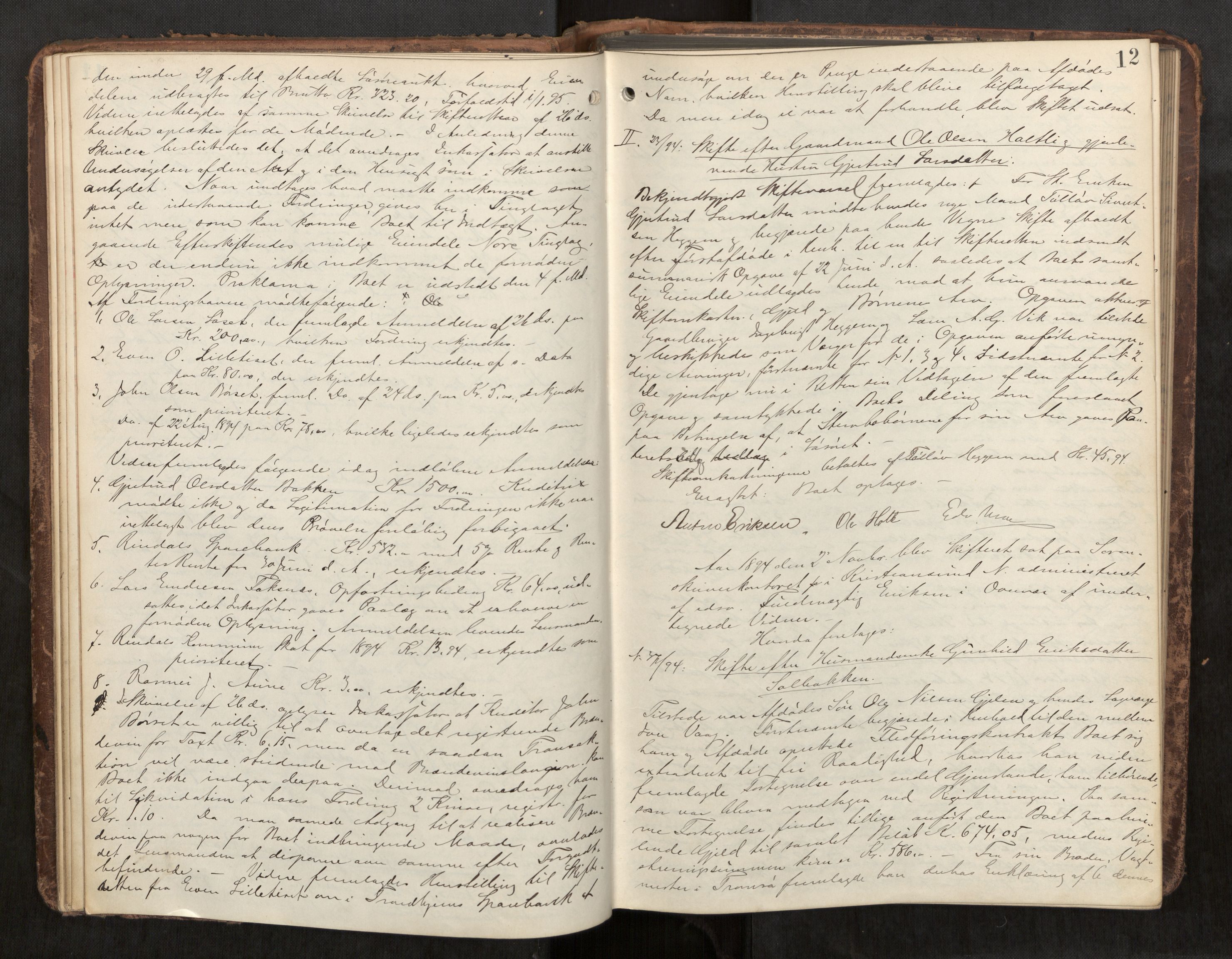Nordmøre sorenskriveri, AV/SAT-A-4132/1/3/3B/L0006: Forhandlingsprotokoll nr. 06, 1894-1900, p. 12