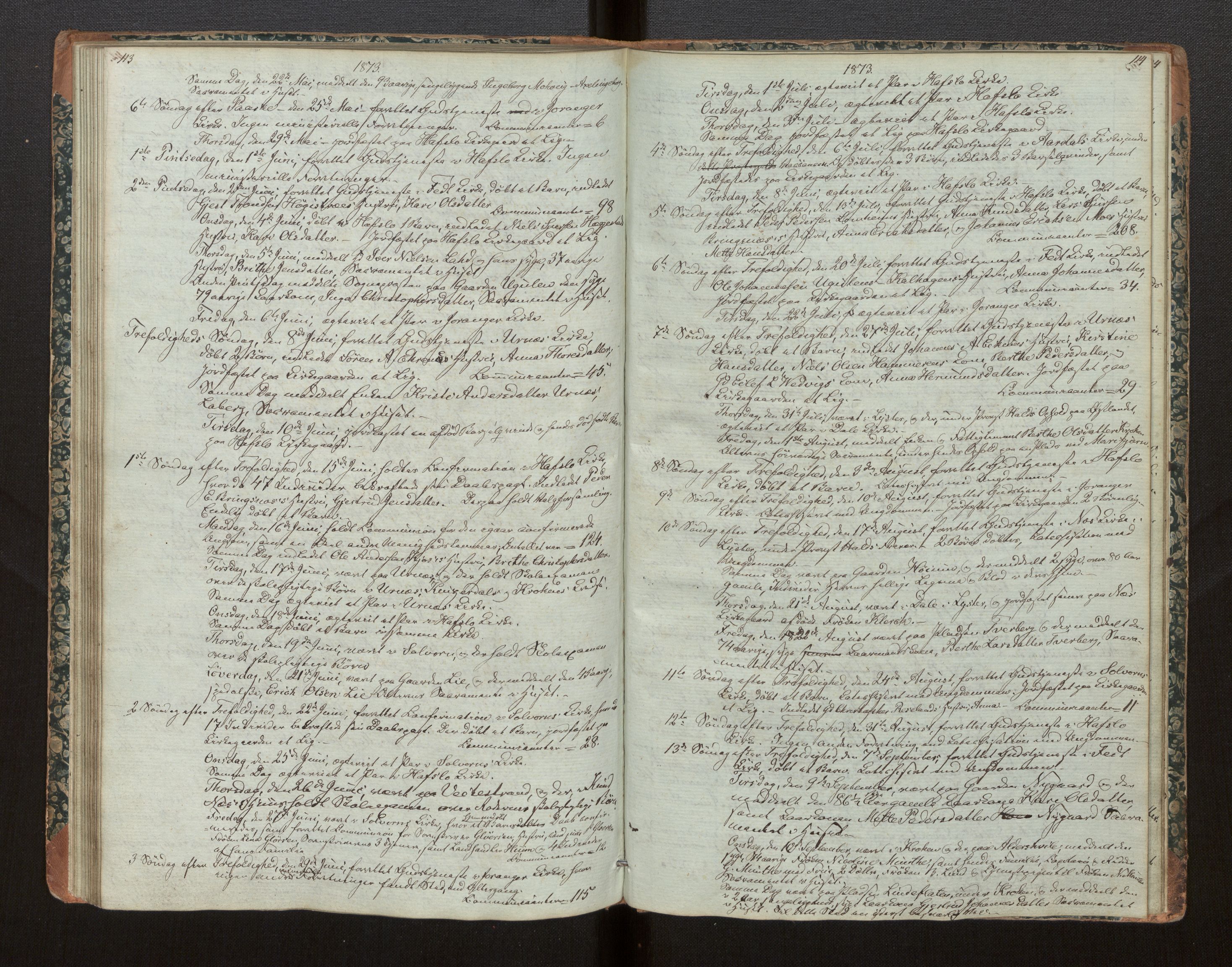 Hafslo sokneprestembete, SAB/A-80301/H/Haa/Haaf/L0002: Diary records no. F 2, 1854-1879, p. 113-114