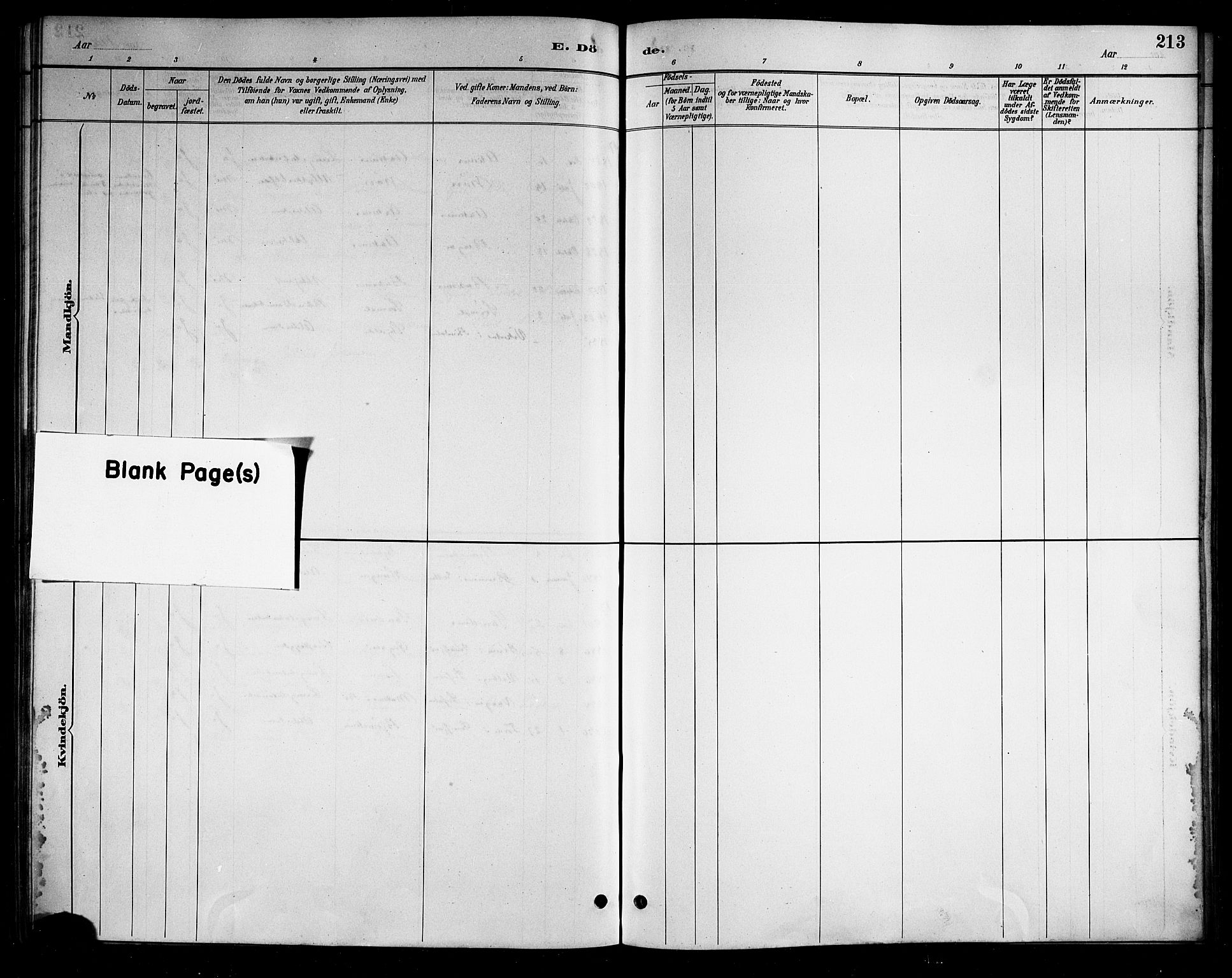 Ministerialprotokoller, klokkerbøker og fødselsregistre - Nordland, AV/SAT-A-1459/898/L1427: Parish register (copy) no. 898C02, 1887-1917, p. 213