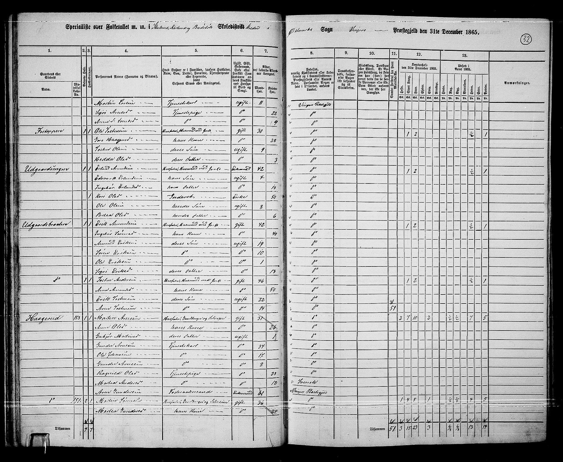 RA, 1865 census for Vinger/Vinger og Austmarka, 1865, p. 30