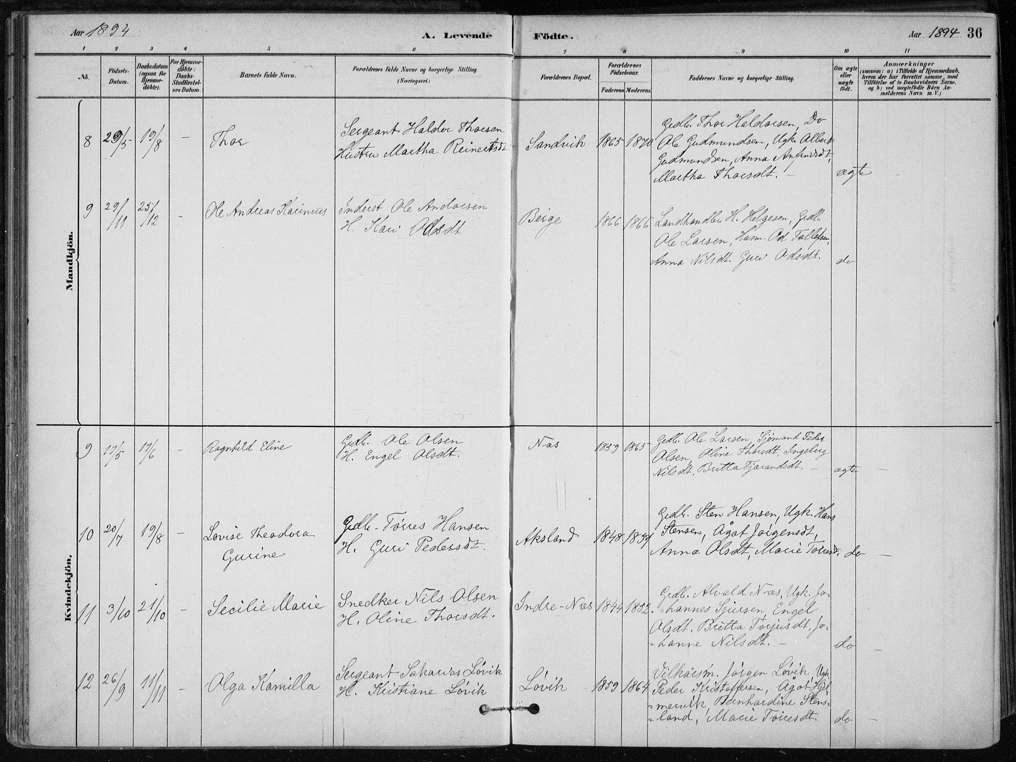 Skånevik sokneprestembete, SAB/A-77801/H/Haa: Parish register (official) no. B 1, 1879-1914, p. 36
