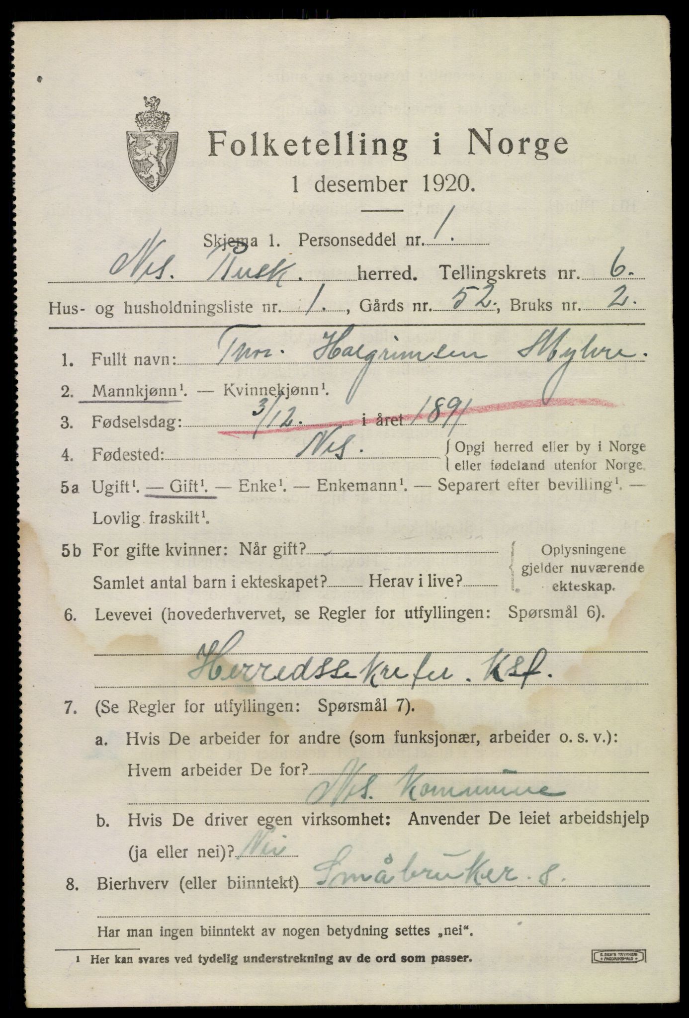 SAKO, 1920 census for Nes (Buskerud), 1920, p. 3106