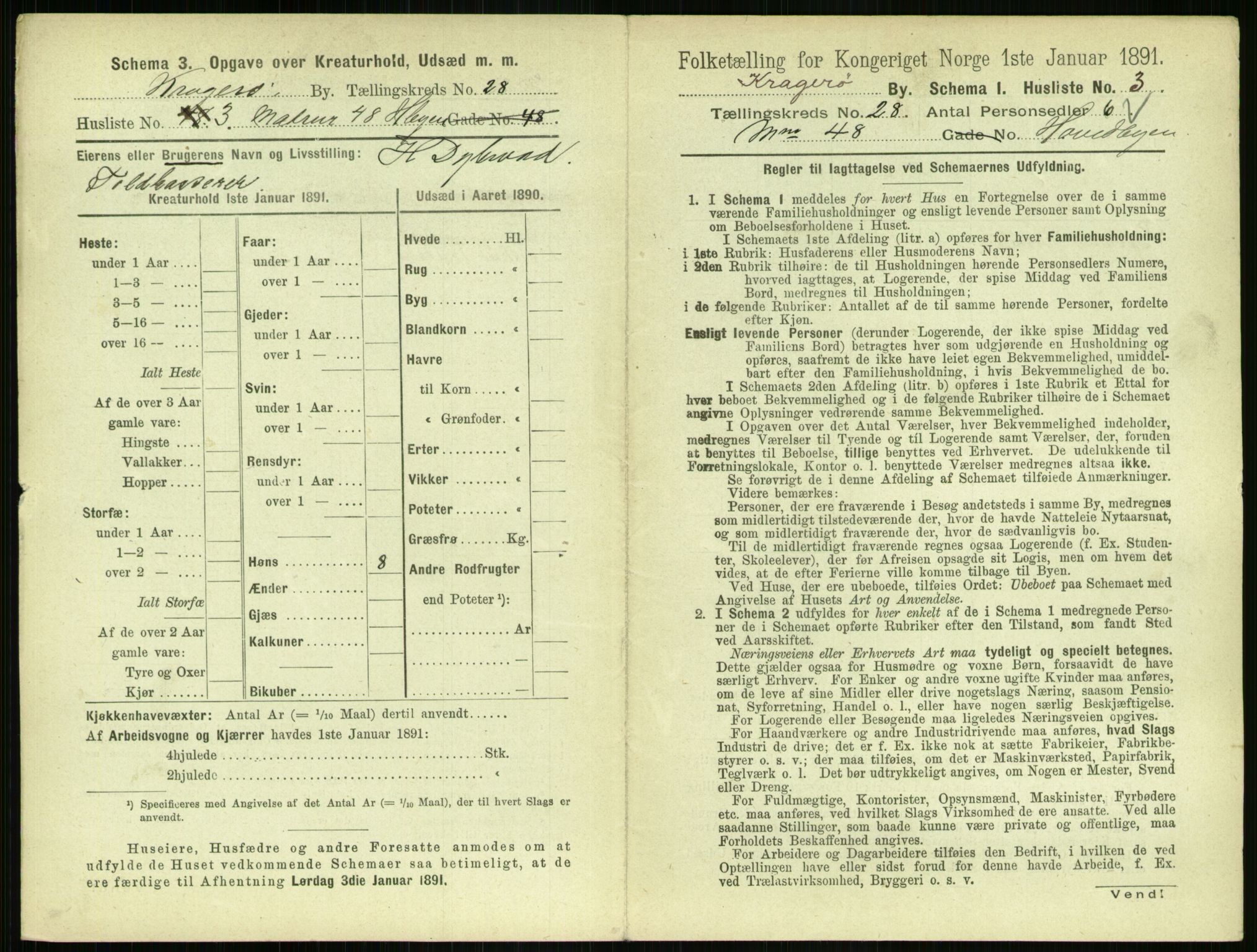 RA, 1891 census for 0801 Kragerø, 1891, p. 1022