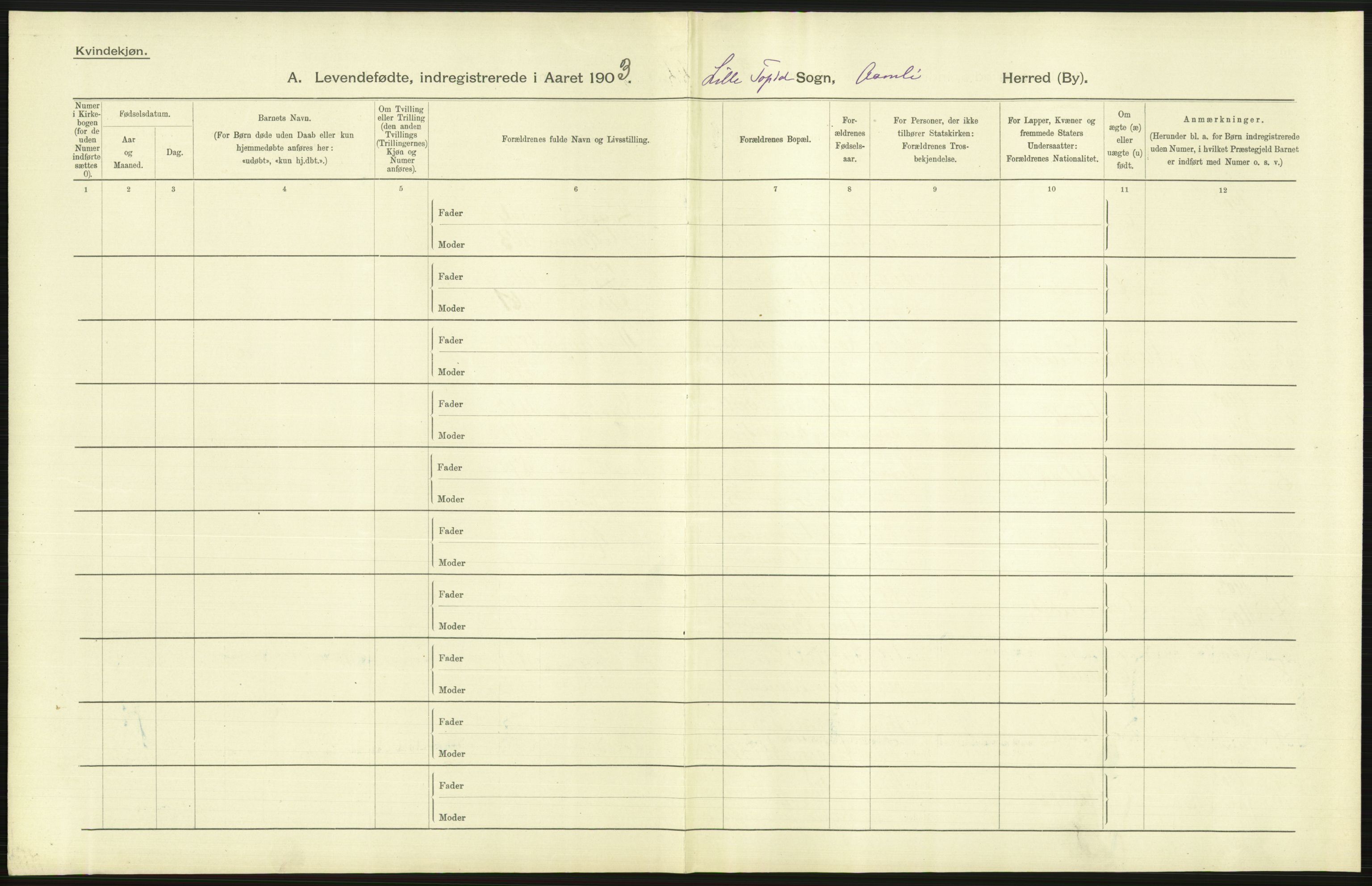 Statistisk sentralbyrå, Sosiodemografiske emner, Befolkning, AV/RA-S-2228/D/Df/Dfa/Dfaa/L0010: Nedenes amt: Fødte, gifte, døde, 1903, p. 43