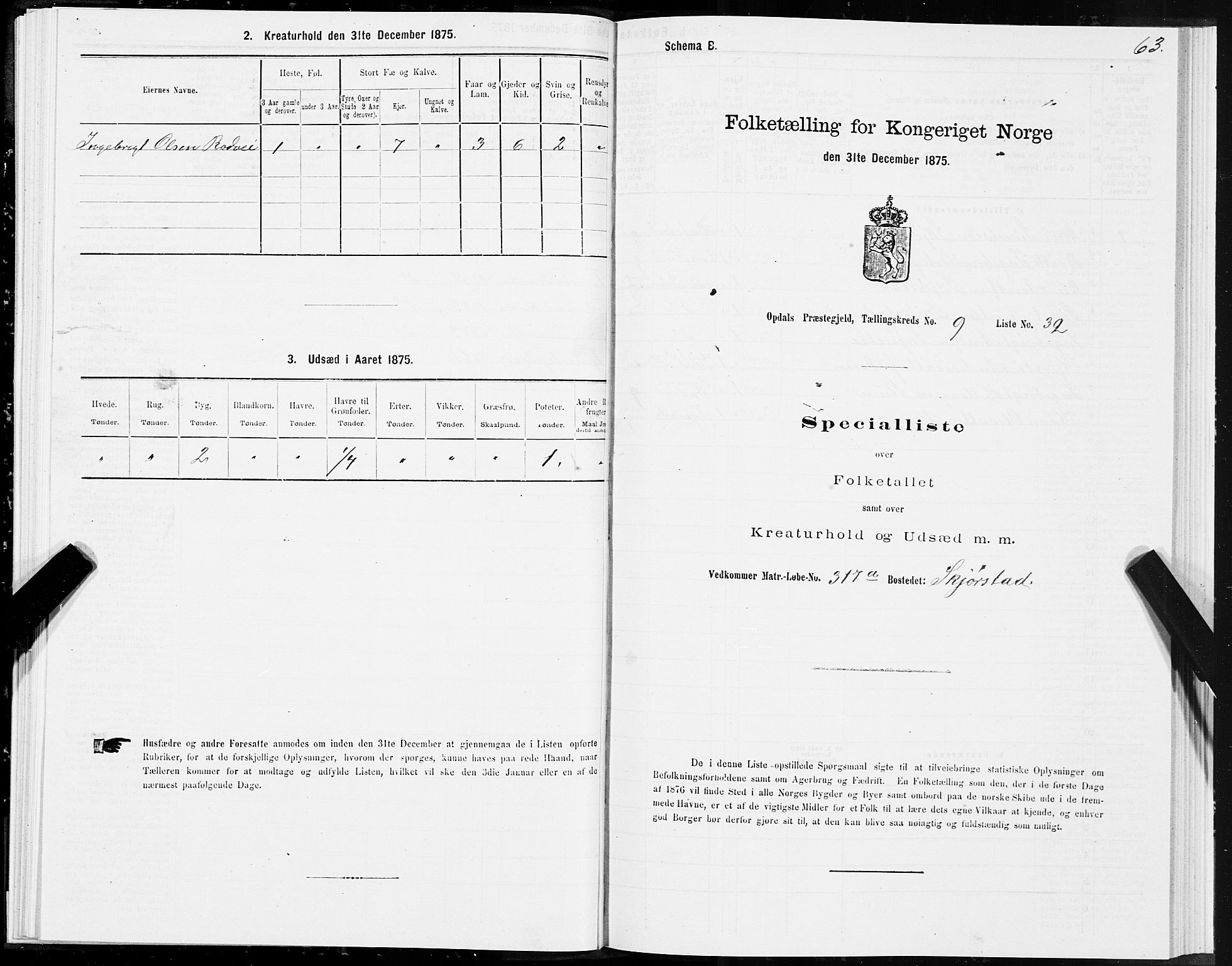 SAT, 1875 census for 1634P Oppdal, 1875, p. 6063