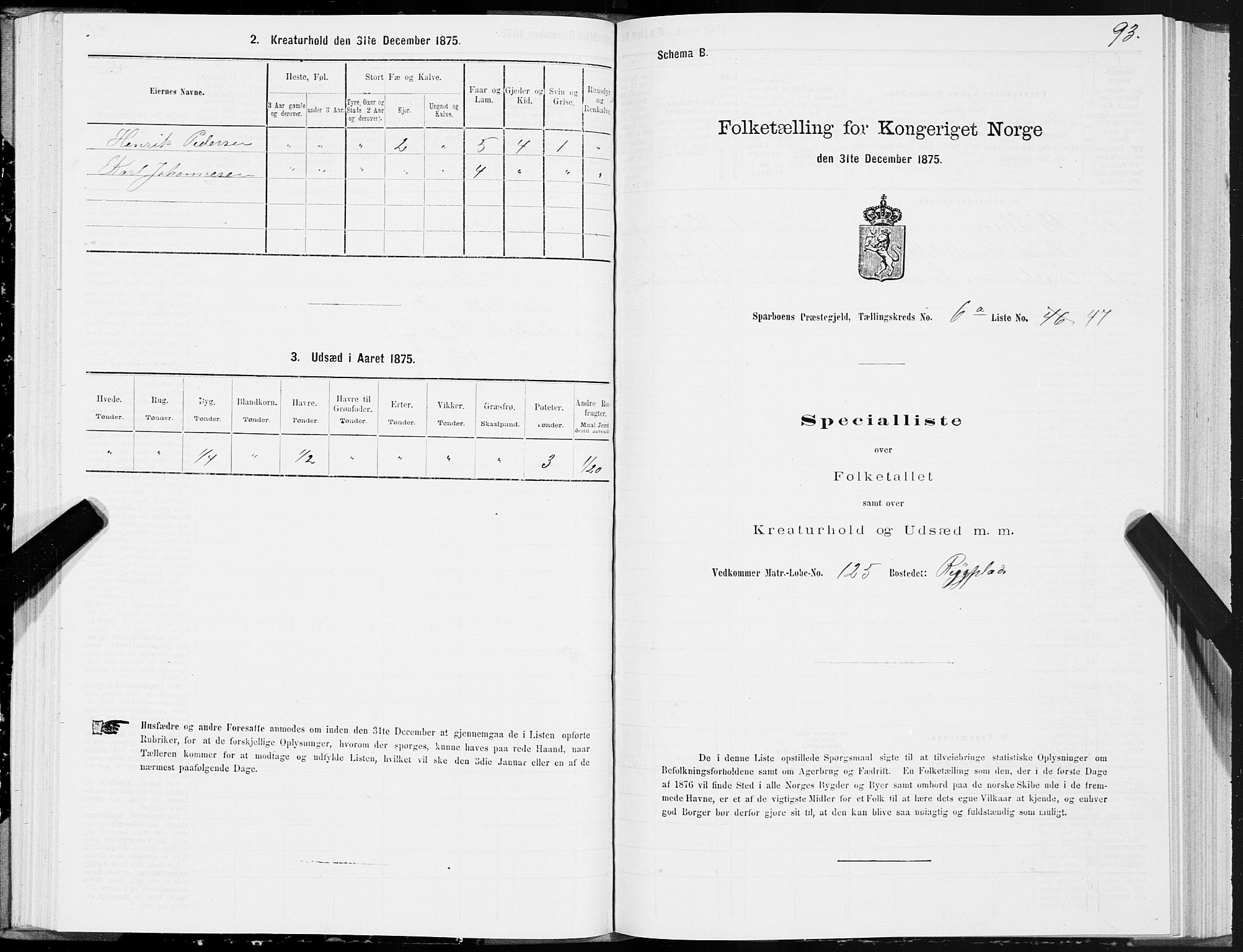 SAT, 1875 census for 1731P Sparbu, 1875, p. 3093