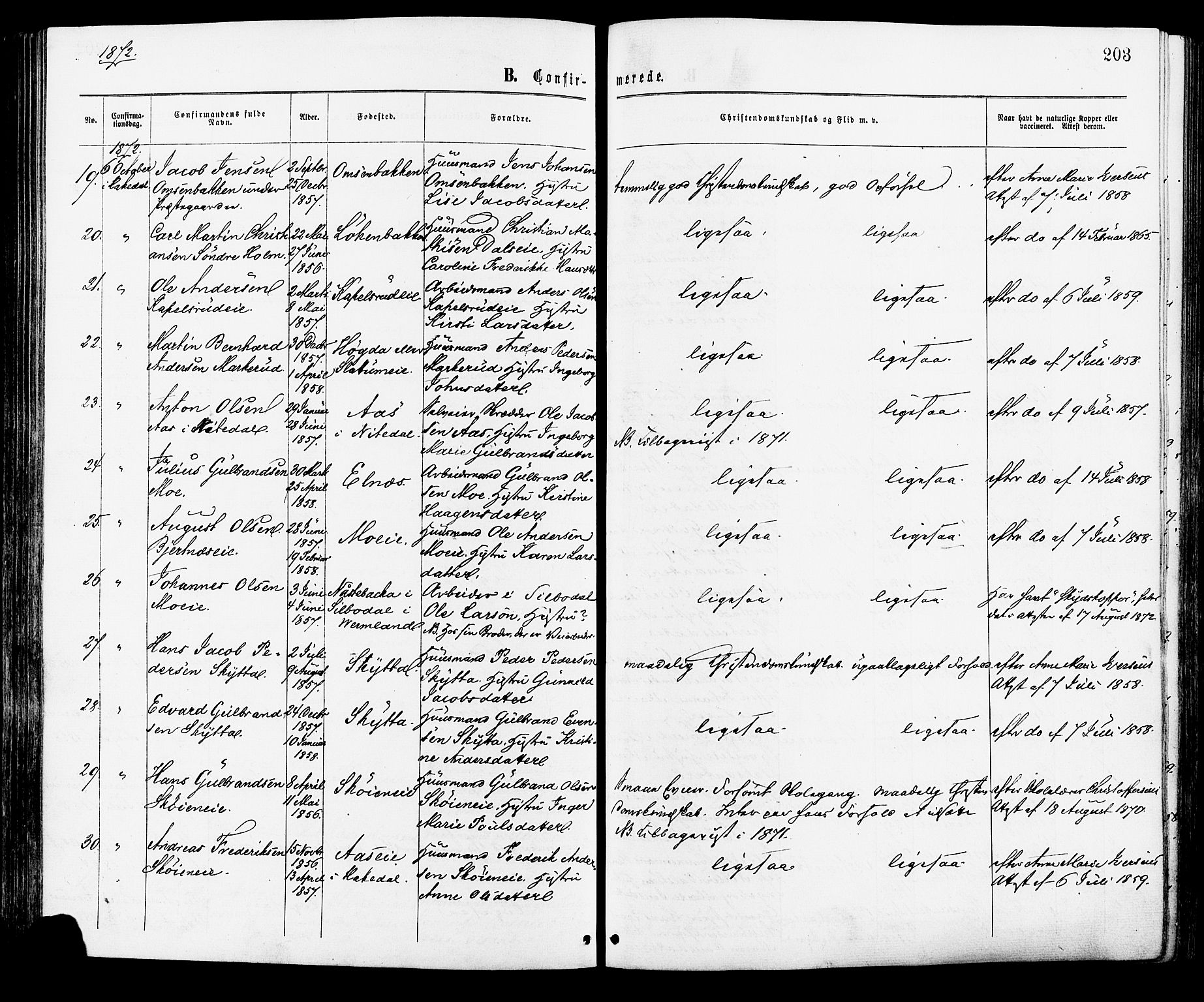 Nittedal prestekontor Kirkebøker, AV/SAO-A-10365a/F/Fa/L0006: Parish register (official) no. I 6, 1863-1878, p. 203