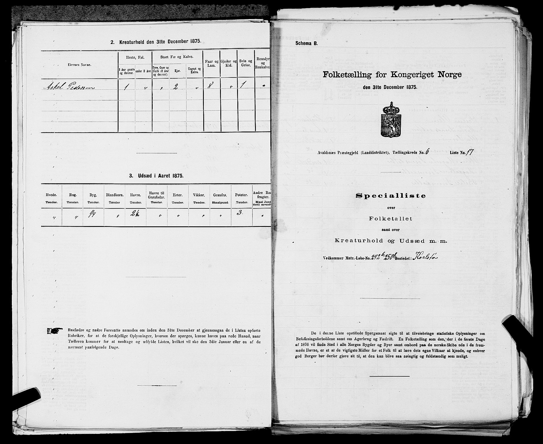 SAST, 1875 census for 1147L Avaldsnes/Avaldsnes og Kopervik, 1875, p. 934