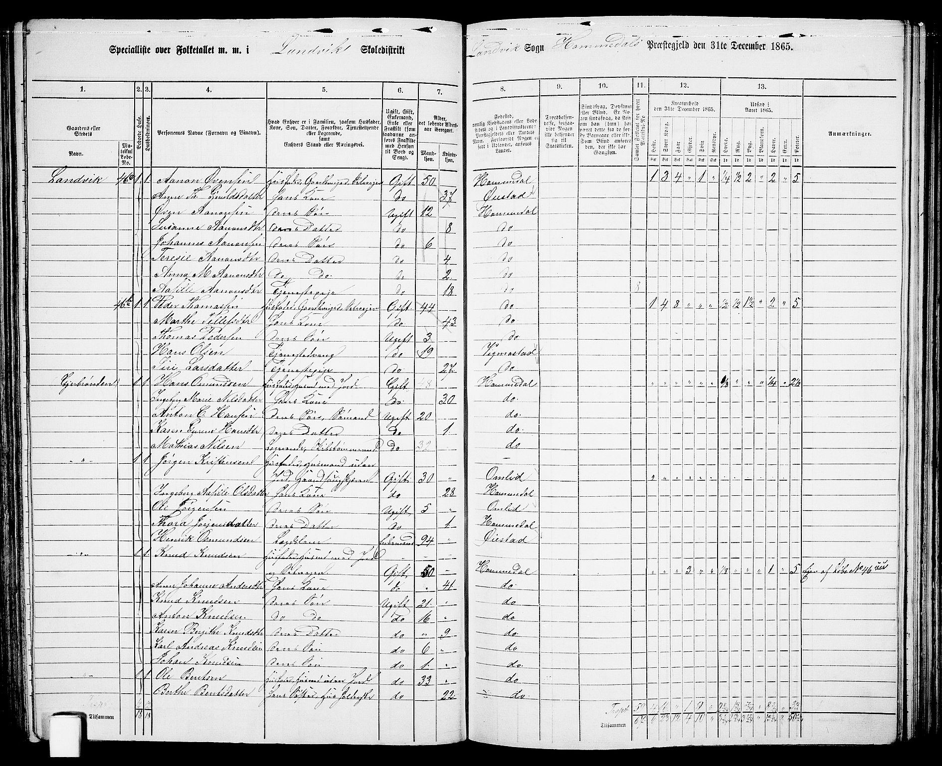 RA, 1865 census for Homedal, 1865, p. 77