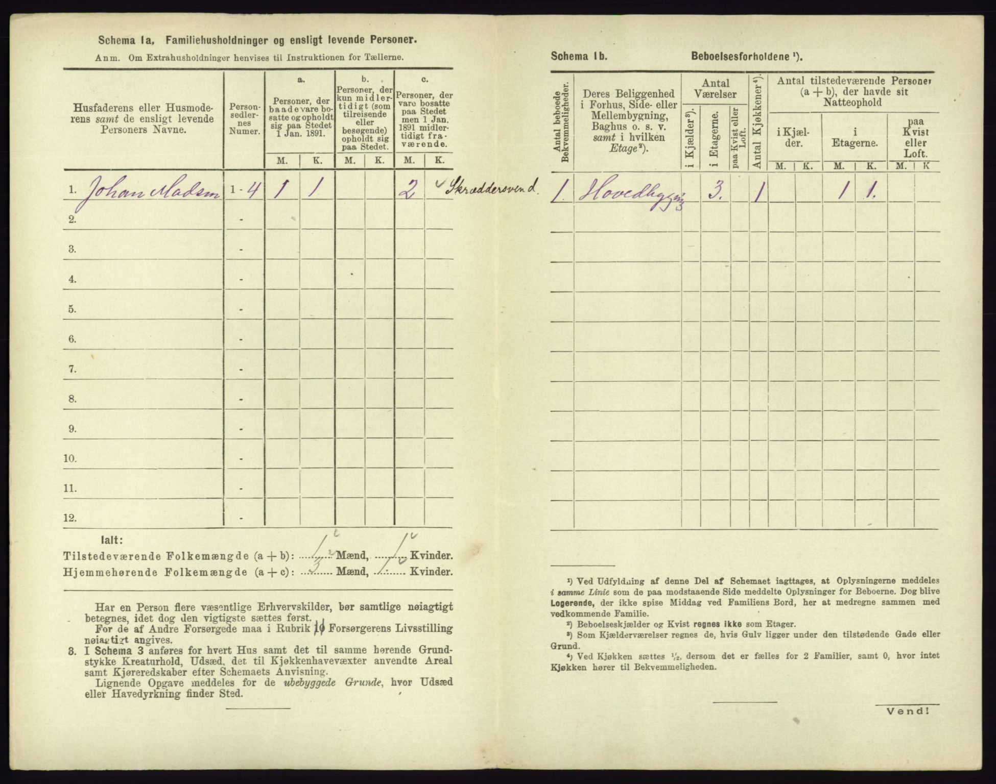 RA, 1891 census for 0703 Horten, 1891, p. 294