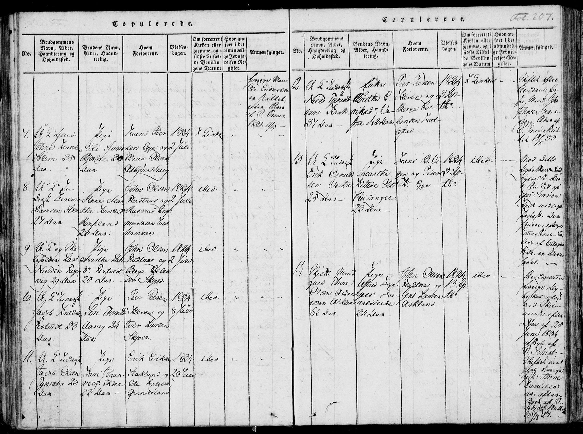 Skjold sokneprestkontor, AV/SAST-A-101847/H/Ha/Haa/L0003: Parish register (official) no. A 3, 1815-1835, p. 207