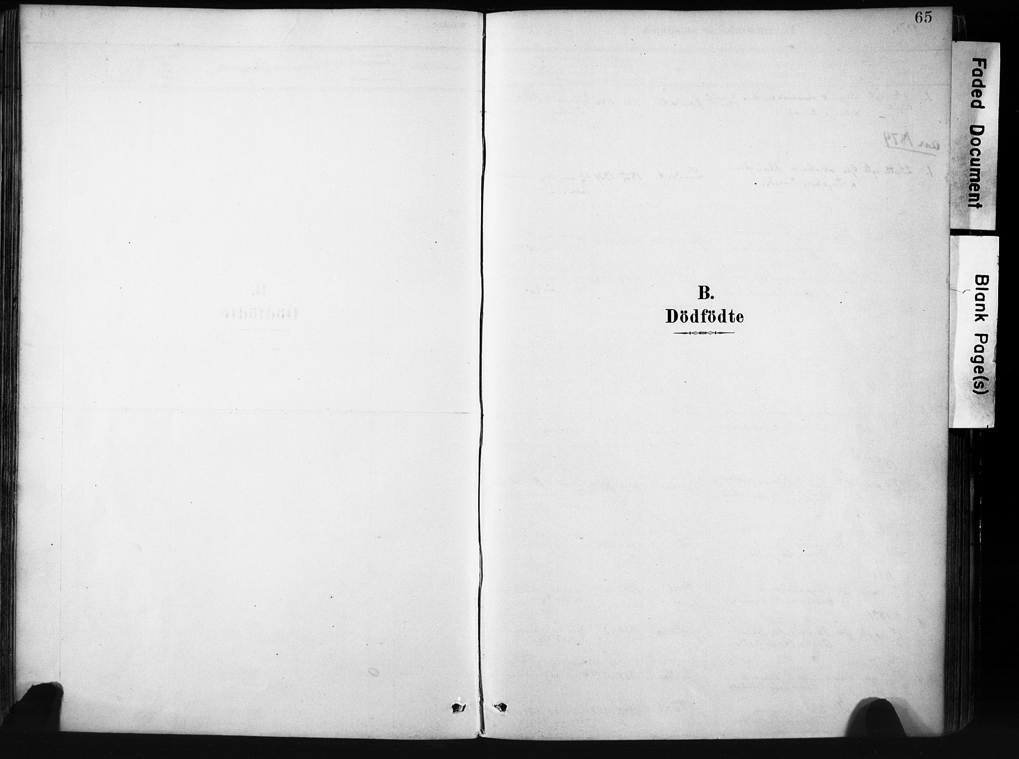 Stryn Sokneprestembete, SAB/A-82501: Parish register (official) no. D 1, 1878-1907, p. 65