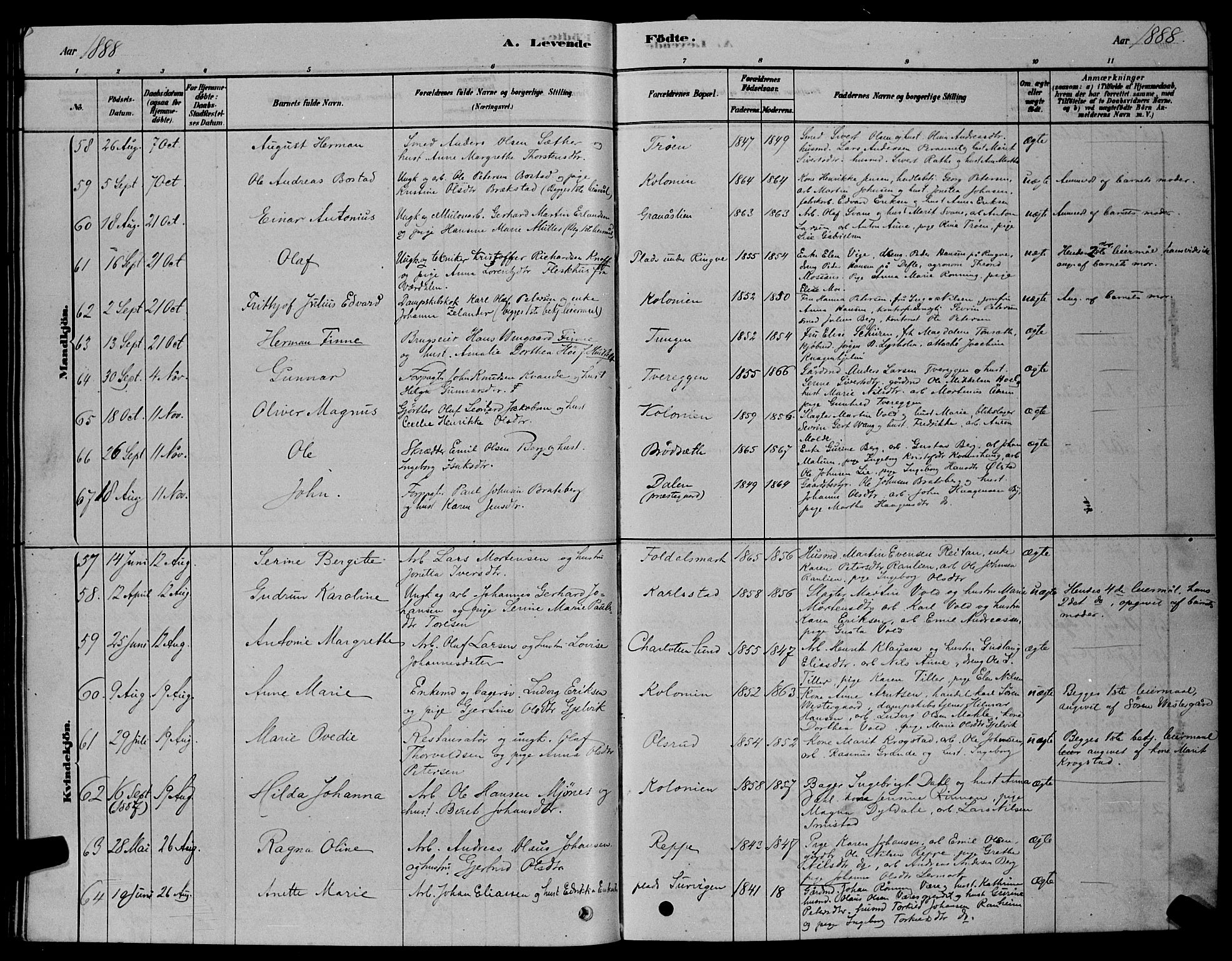 Ministerialprotokoller, klokkerbøker og fødselsregistre - Sør-Trøndelag, AV/SAT-A-1456/606/L0312: Parish register (copy) no. 606C08, 1878-1894