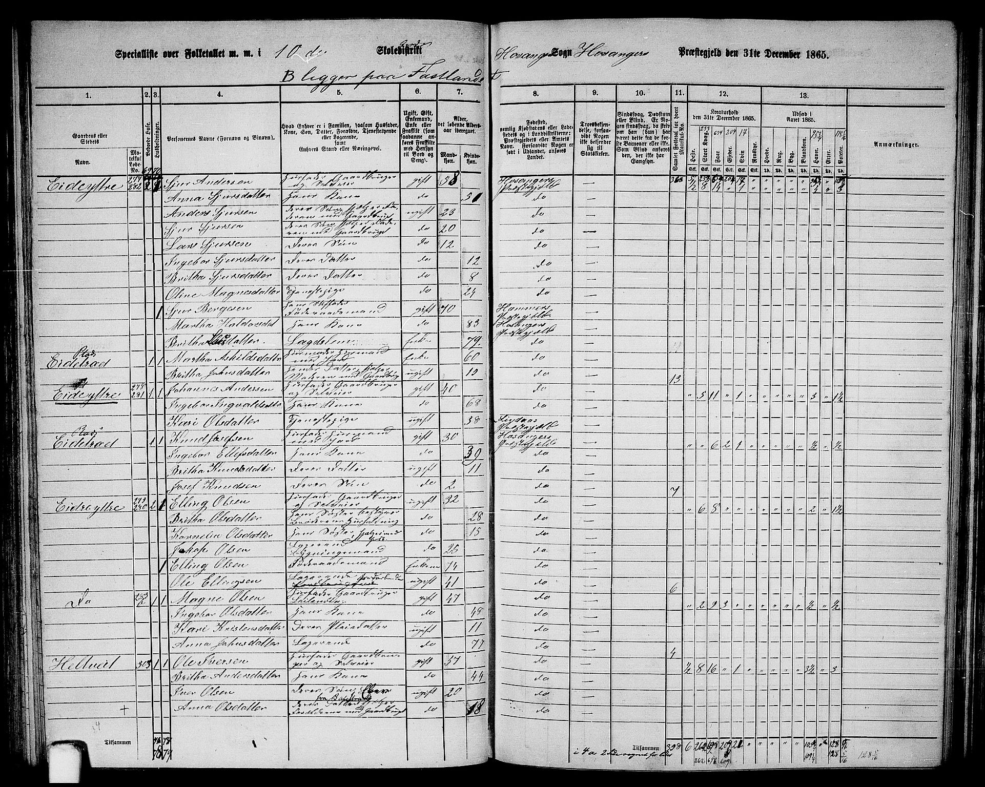 RA, 1865 census for Hosanger, 1865, p. 74