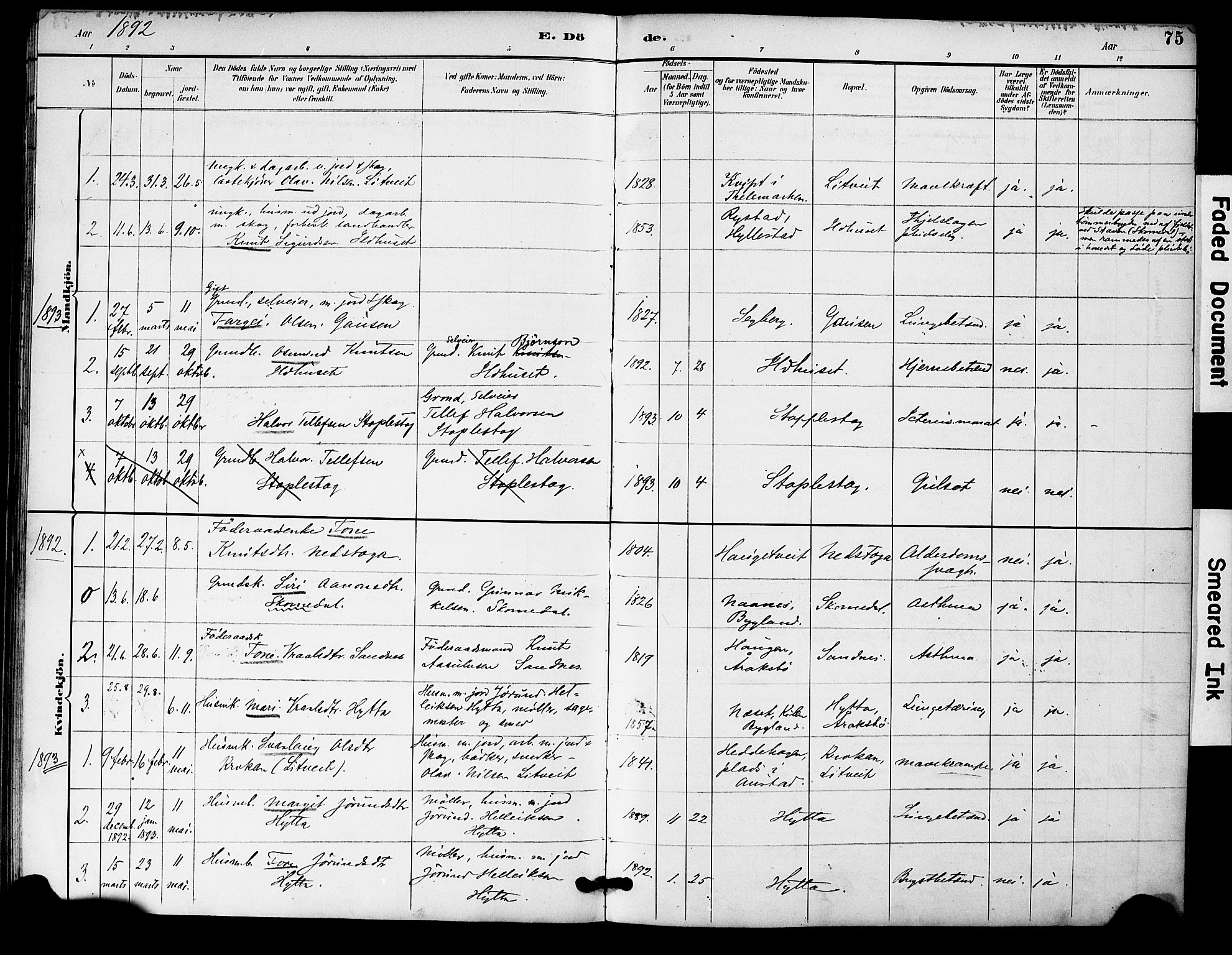 Bygland sokneprestkontor, AV/SAK-1111-0006/F/Fa/Fac/L0001: Parish register (official) no. A 1, 1885-1909, p. 75