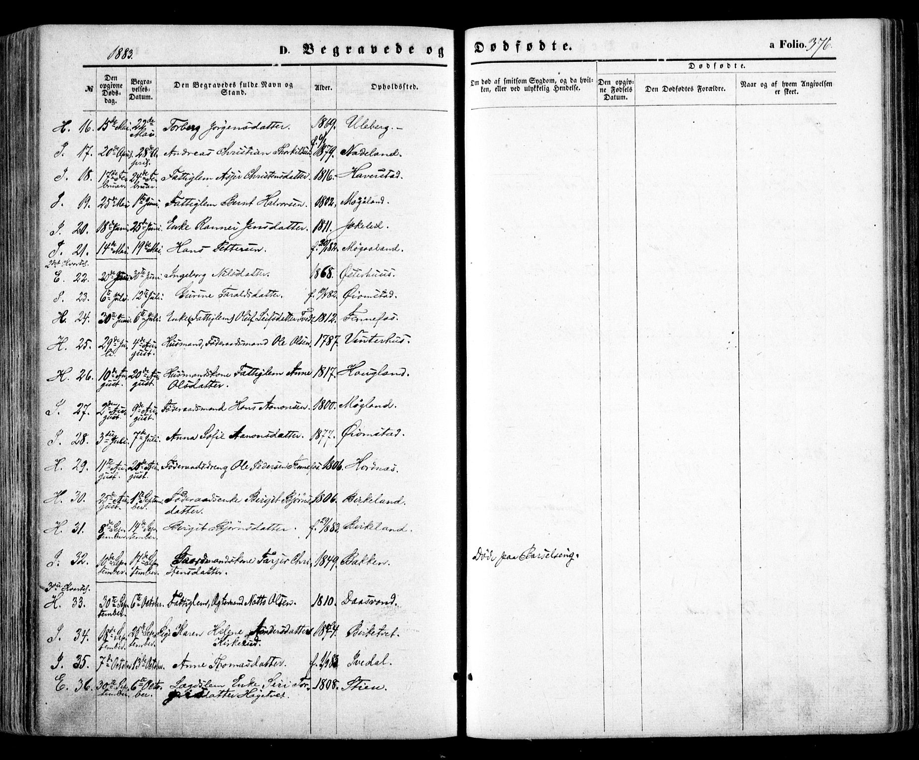 Evje sokneprestkontor, AV/SAK-1111-0008/F/Fa/Faa/L0006: Parish register (official) no. A 6, 1866-1884, p. 376