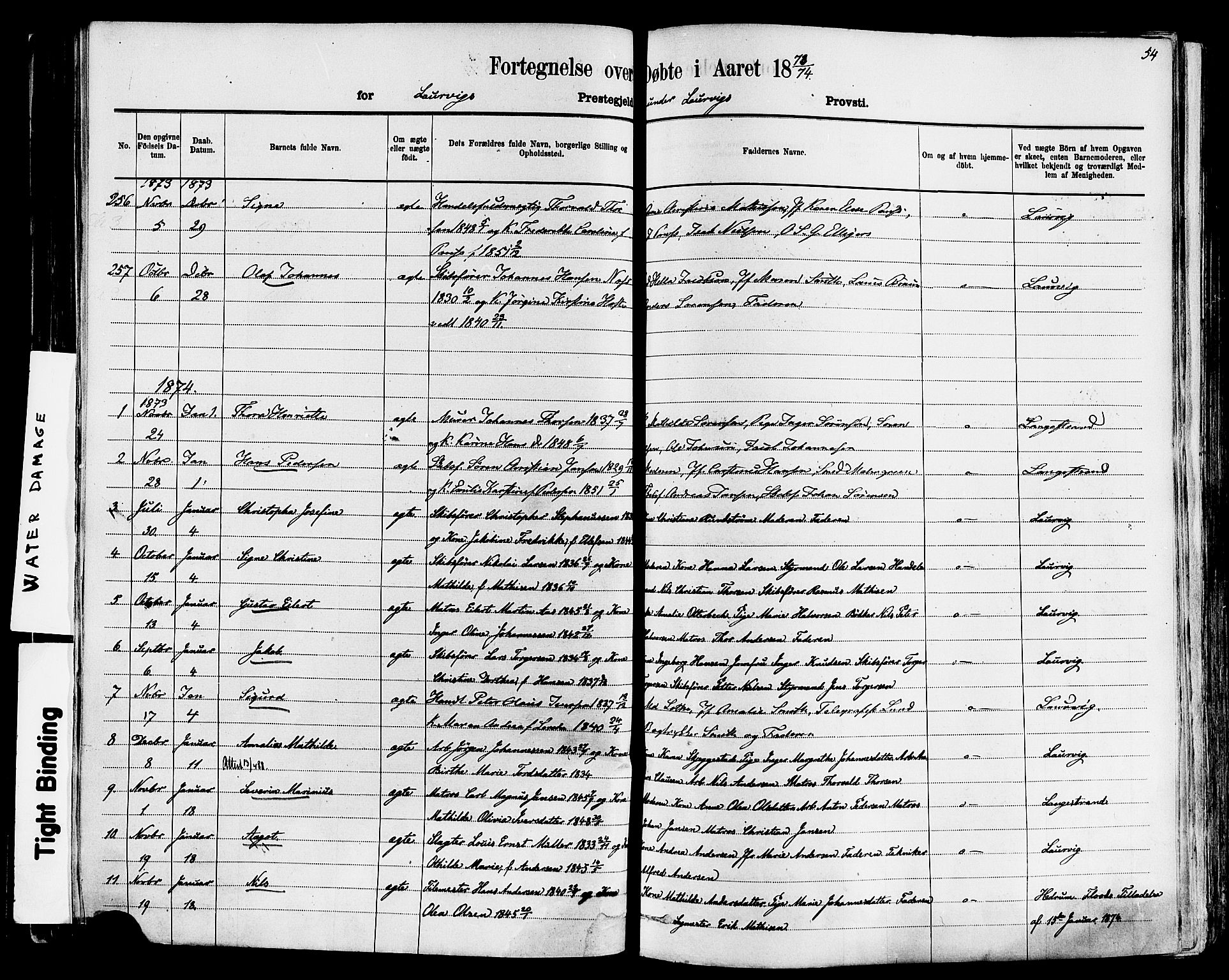 Larvik kirkebøker, AV/SAKO-A-352/F/Fa/L0006: Parish register (official) no. I 6, 1871-1883, p. 54