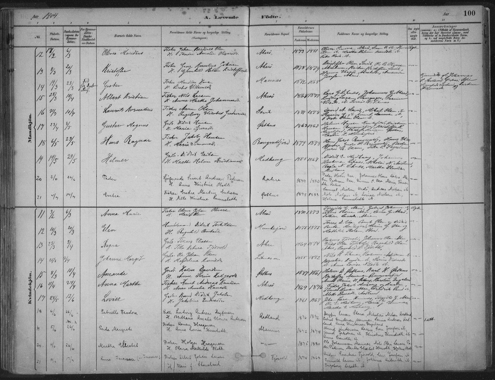Kopervik sokneprestkontor, SAST/A-101850/H/Ha/Haa/L0004: Parish register (official) no. A 4, 1882-1905, p. 100