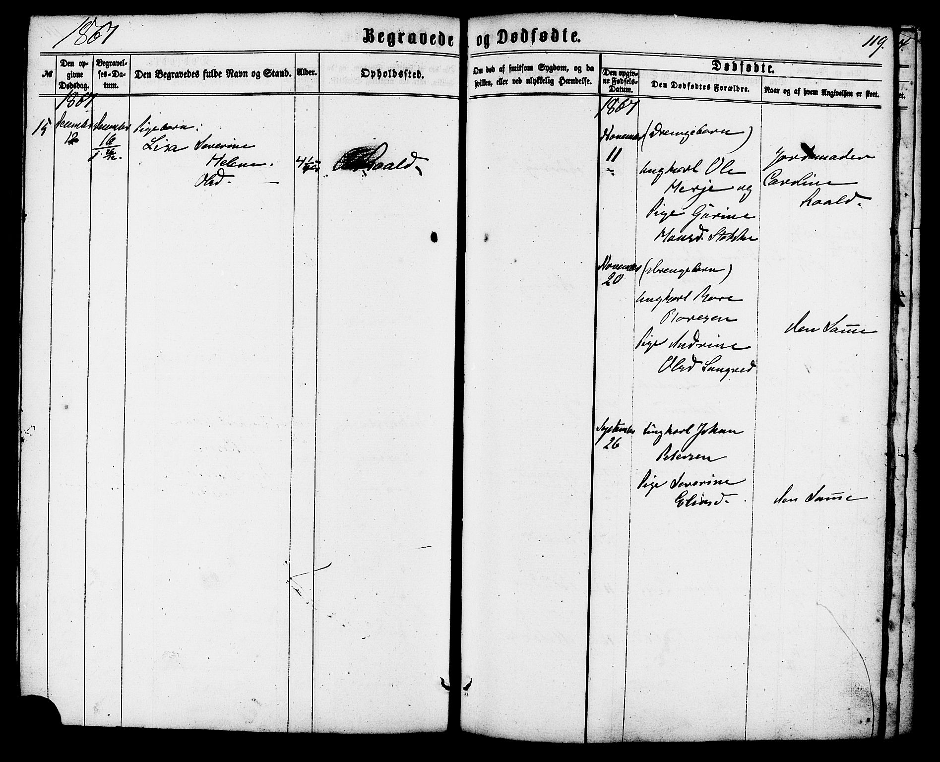 Ministerialprotokoller, klokkerbøker og fødselsregistre - Møre og Romsdal, AV/SAT-A-1454/537/L0518: Parish register (official) no. 537A02, 1862-1876, p. 119