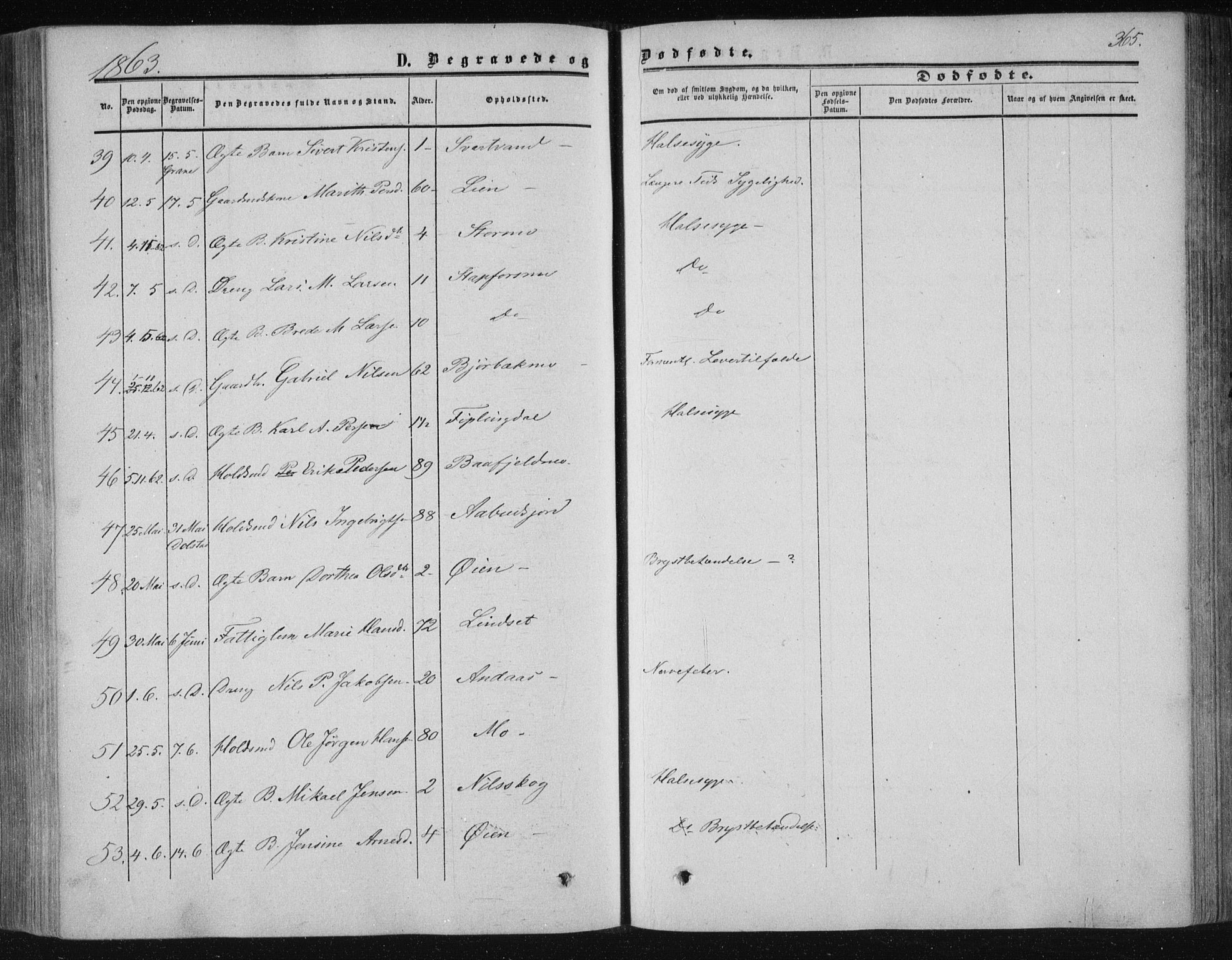 Ministerialprotokoller, klokkerbøker og fødselsregistre - Nordland, AV/SAT-A-1459/820/L0293: Parish register (official) no. 820A14, 1855-1865, p. 365