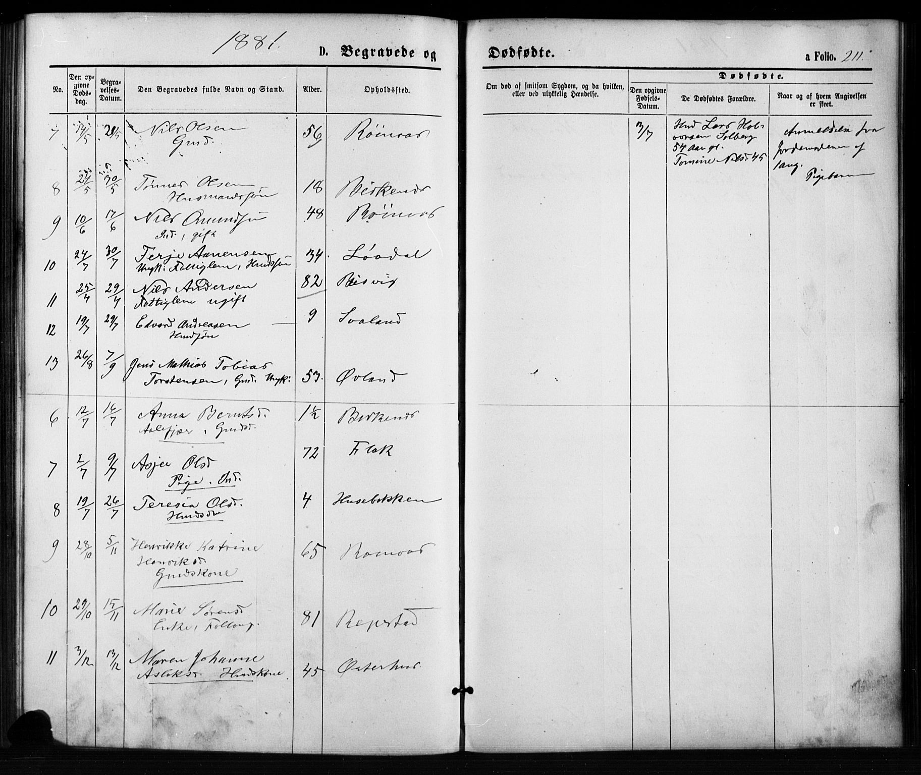 Birkenes sokneprestkontor, SAK/1111-0004/F/Fb/L0003: Parish register (copy) no. B 3, 1876-1892, p. 211